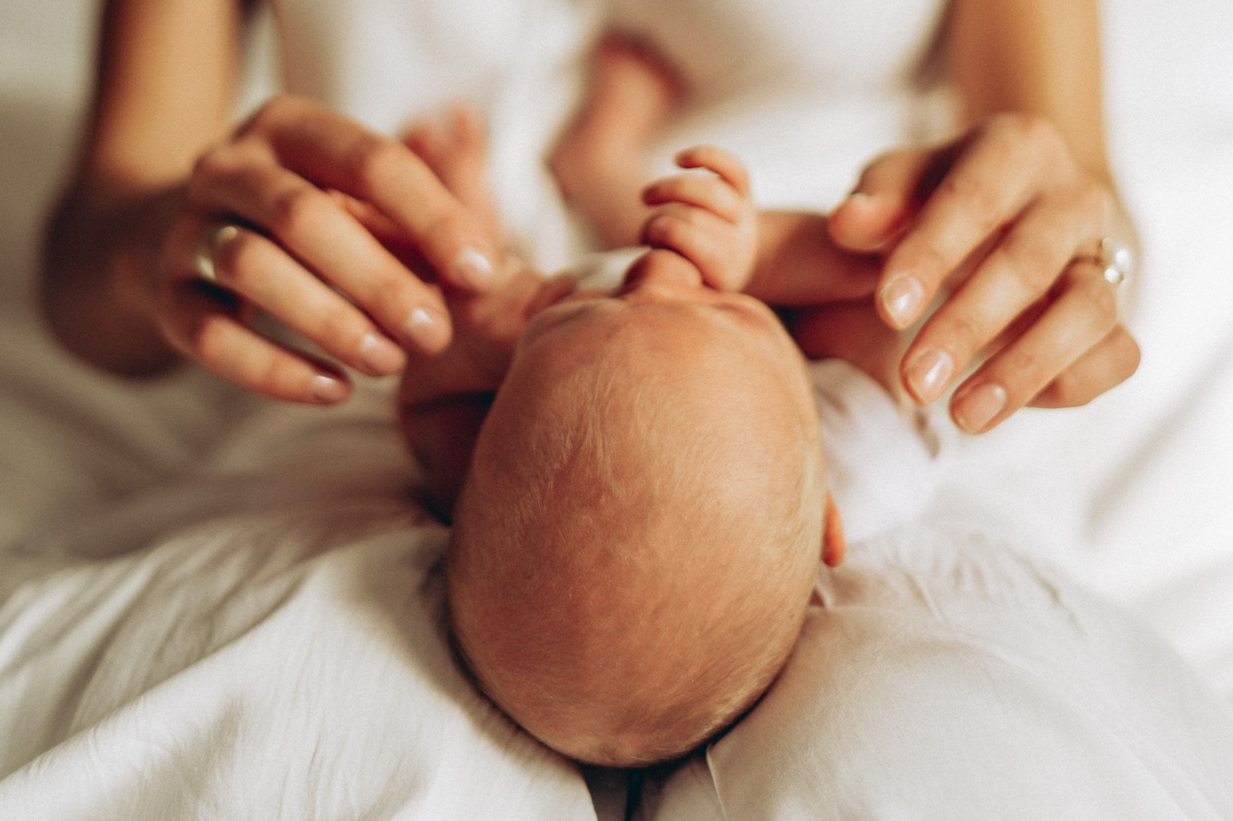 Newborn. Natasha photo Photographer in Melbourne