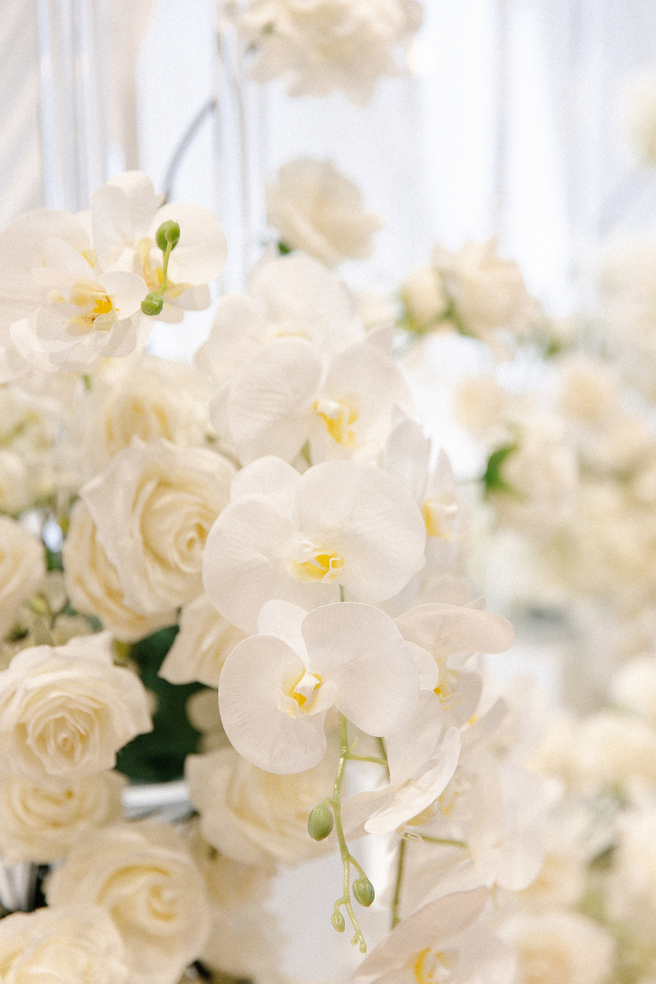 Wedding-love story. Family photographer Oregon — Washington