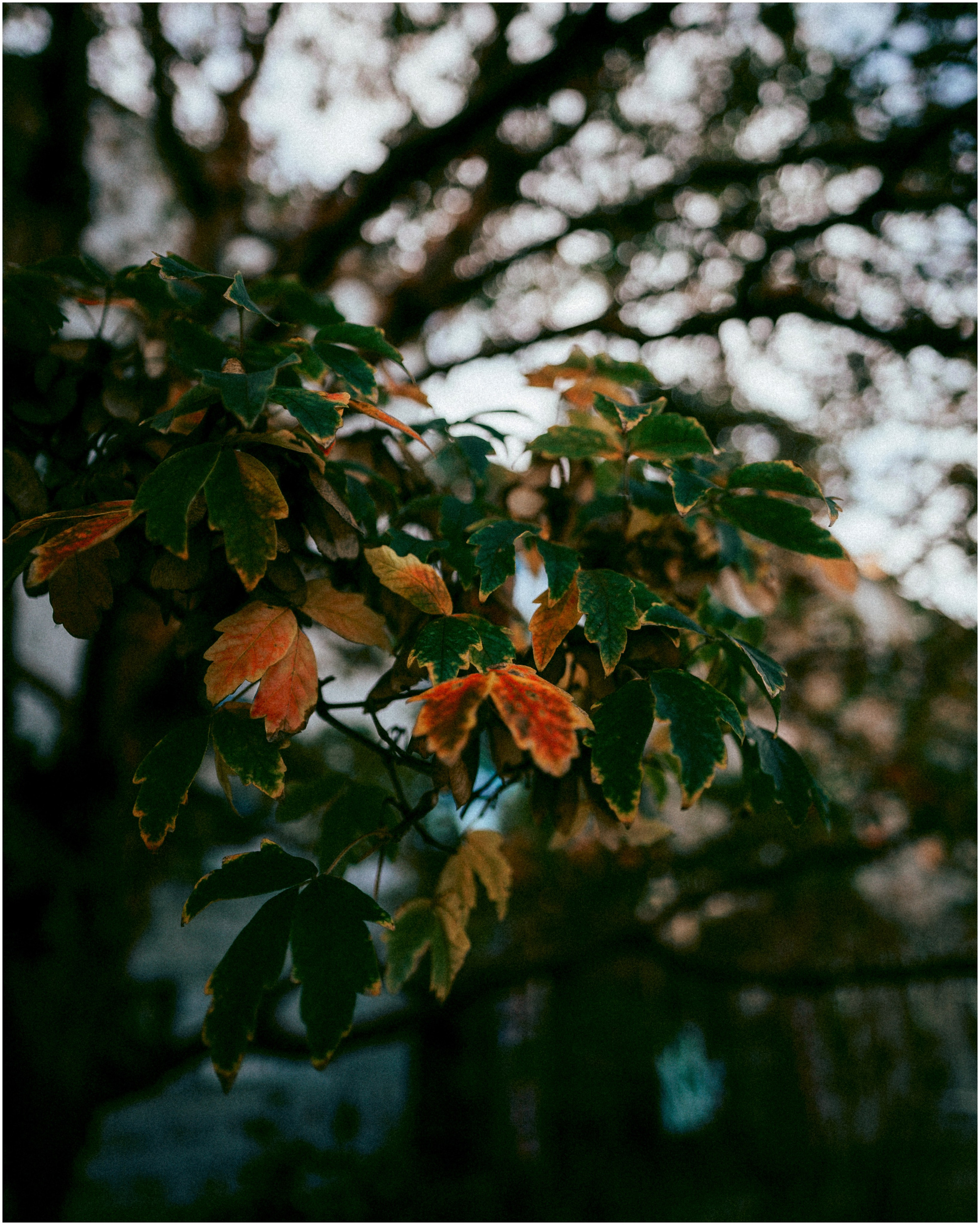 IRELAND. Inna Mendelson — Photographer