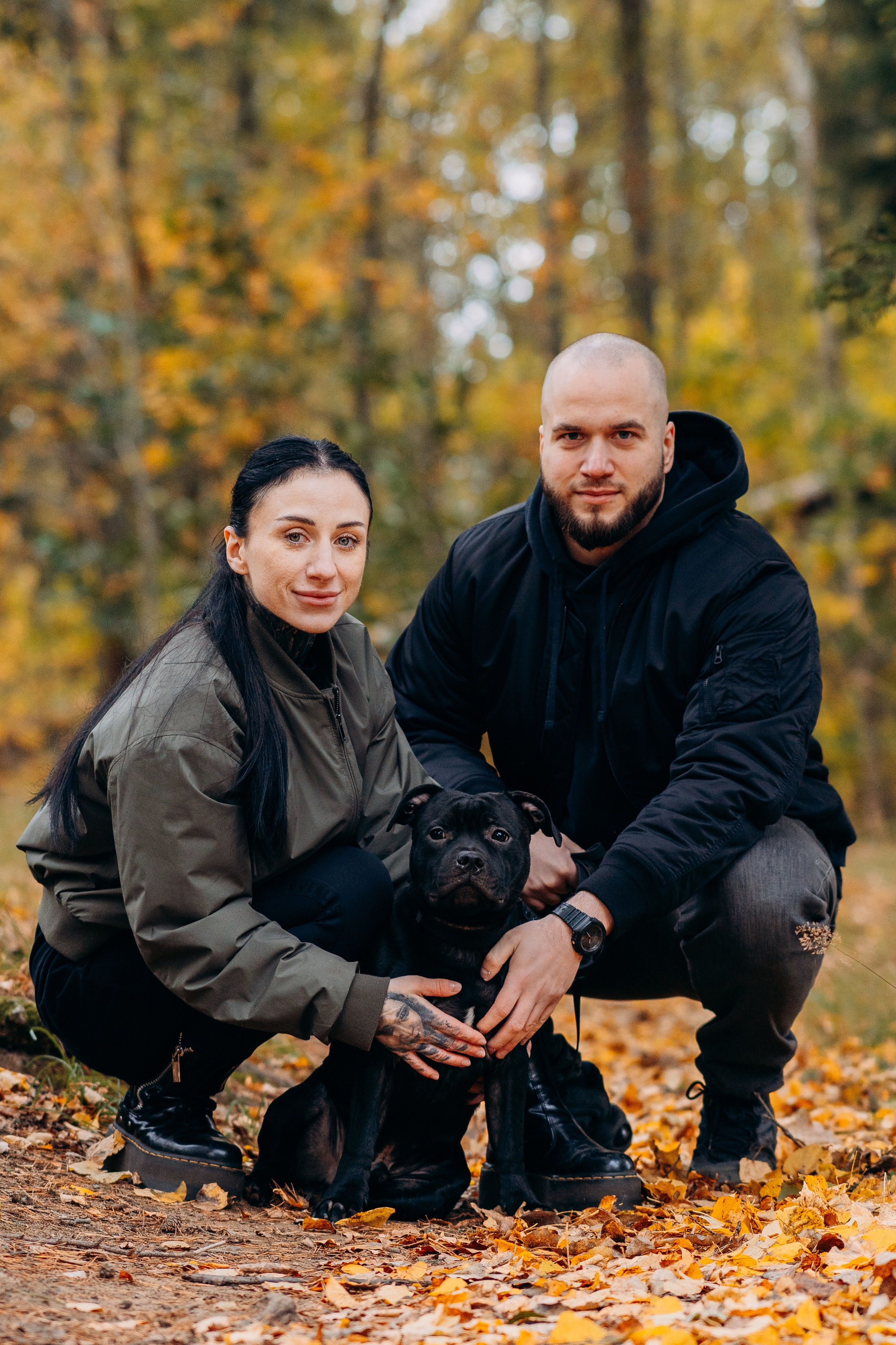 Staffordshire Bull Terriers Meetup. Kat Laisaar — Pet photographer in Tallinn