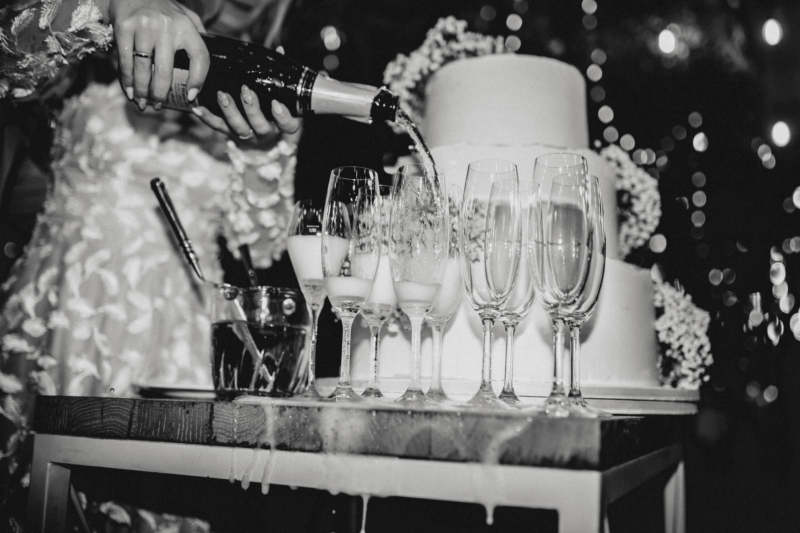 Marina & Paolo. Wedding photographer based in Novi Sad, Marko Milivojevic