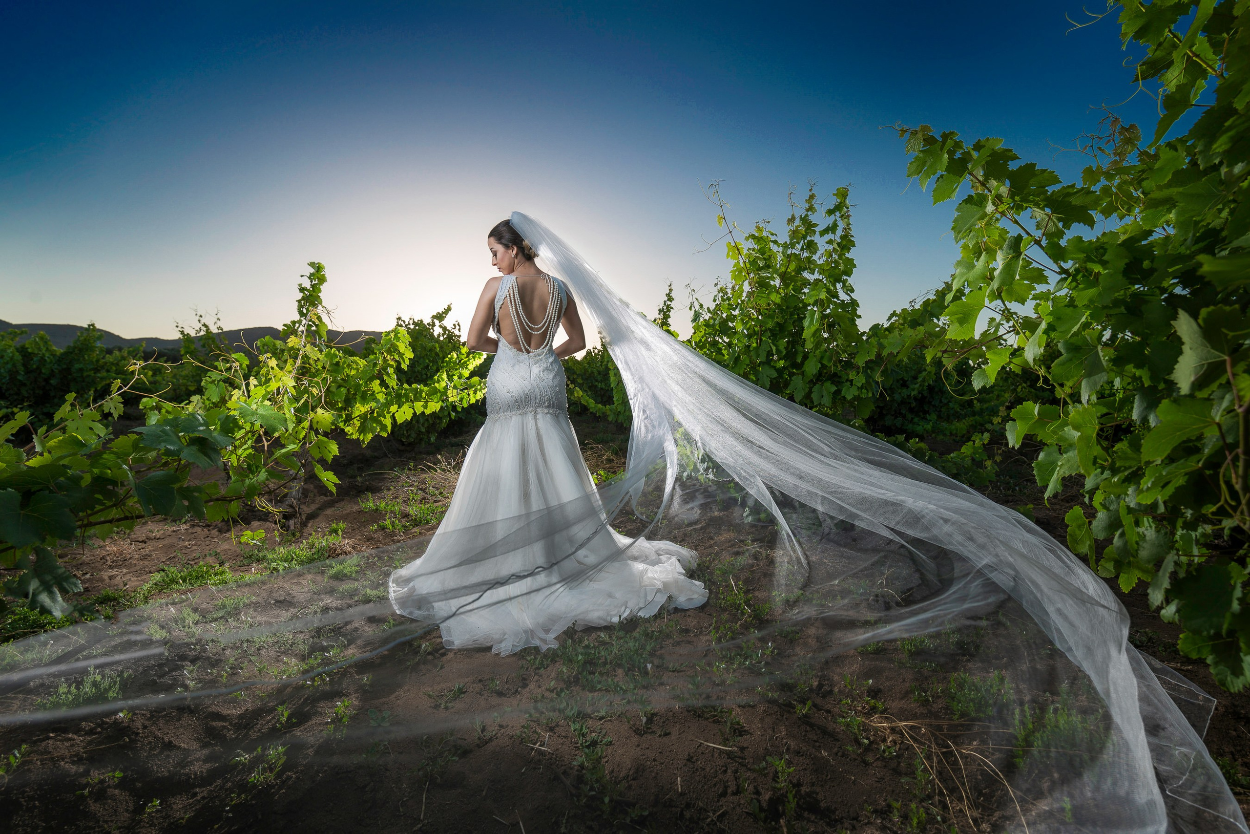Wedding. Professional Photographer in Chihuahua, Mexico — Alex Mendoza