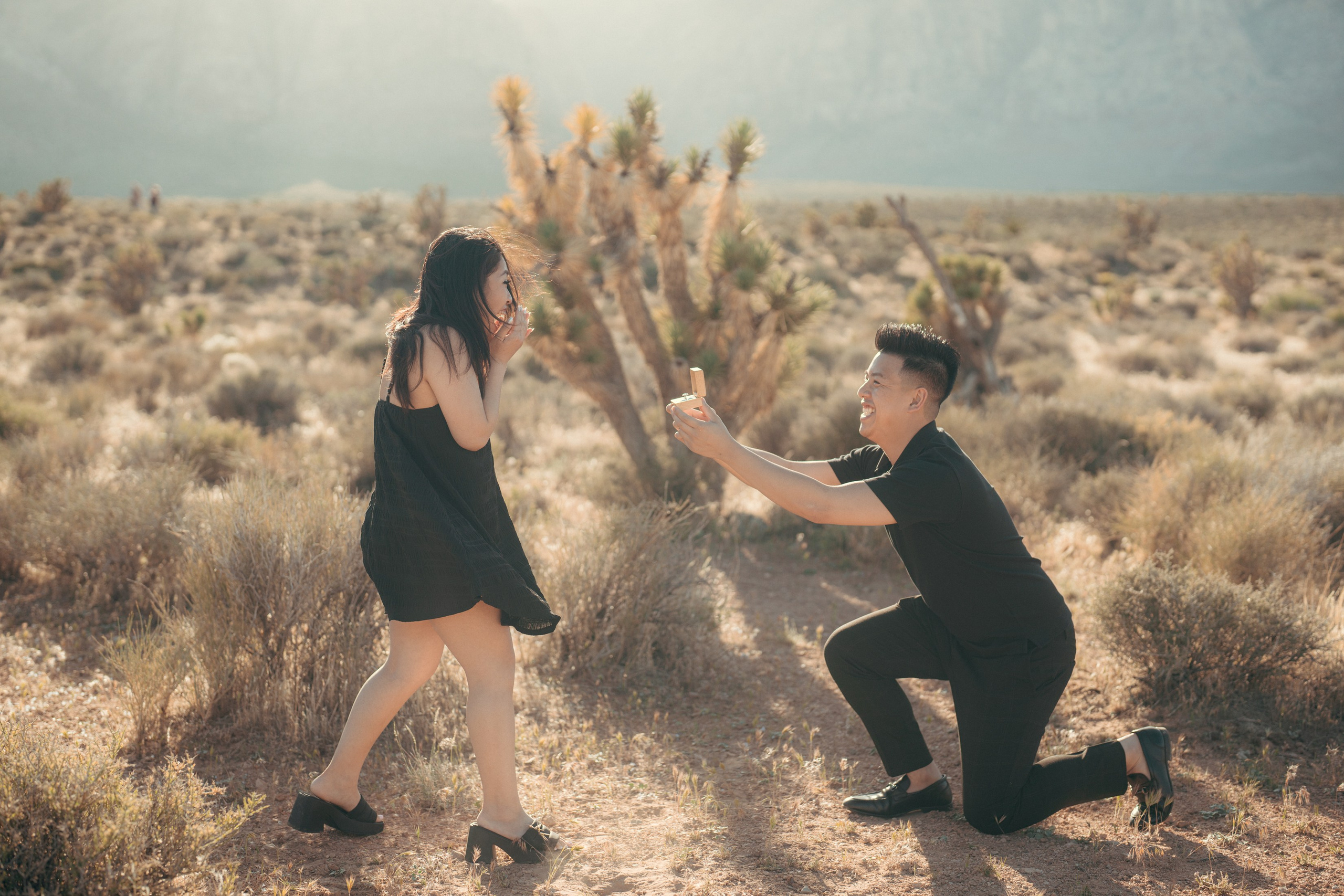 Brian&Christina. Marriage Proposal. Wedding & elopement photographer Viktoriya Kravtsov. Las Vegas