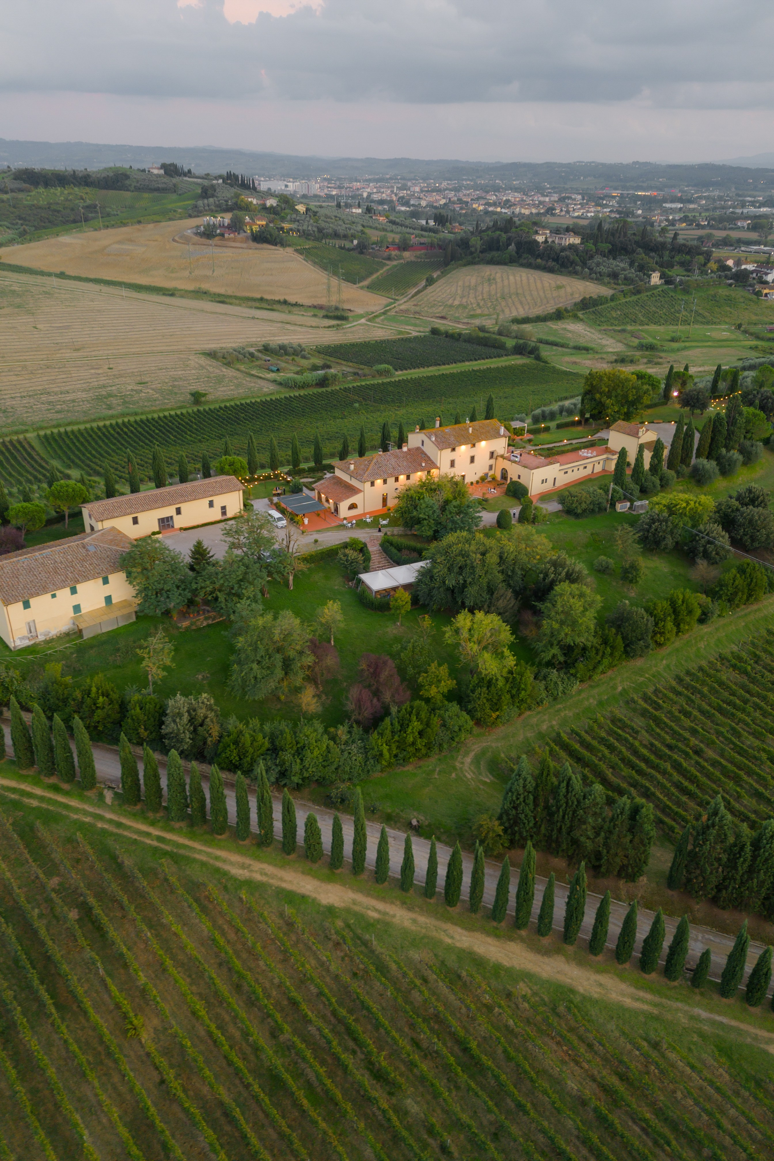 Dom&Ally. Весільний фотограф Вікторія Саврук