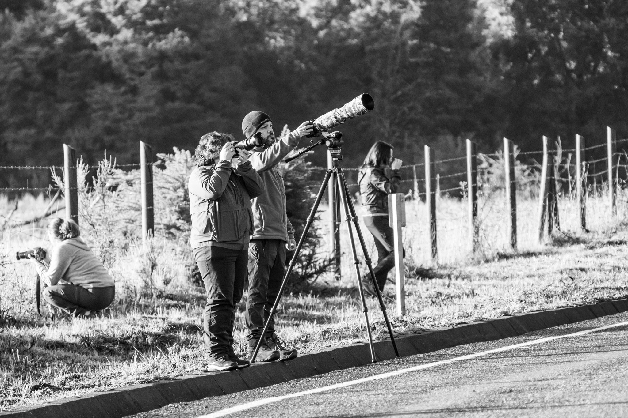Campamento 8vo Aniversario. Fotógrafo de naturaleza en Chile Cristian Larrere Worner