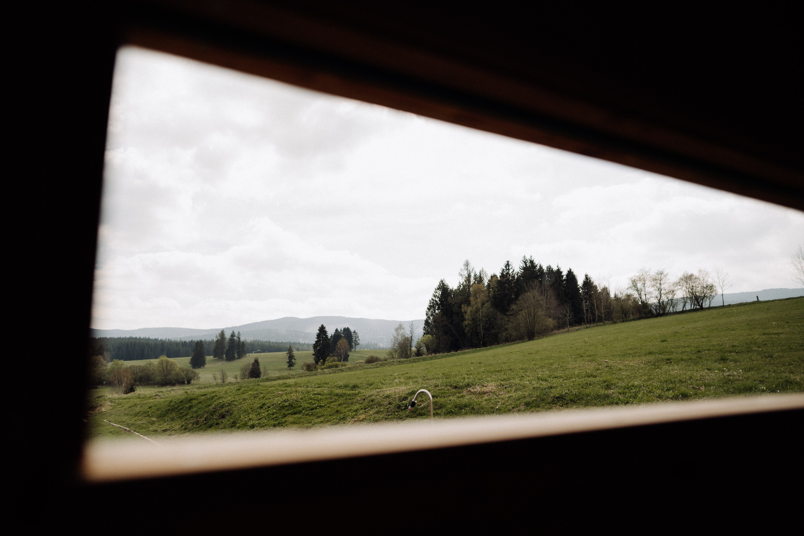 Friends. Фотограф в Праге Анна Лебедева