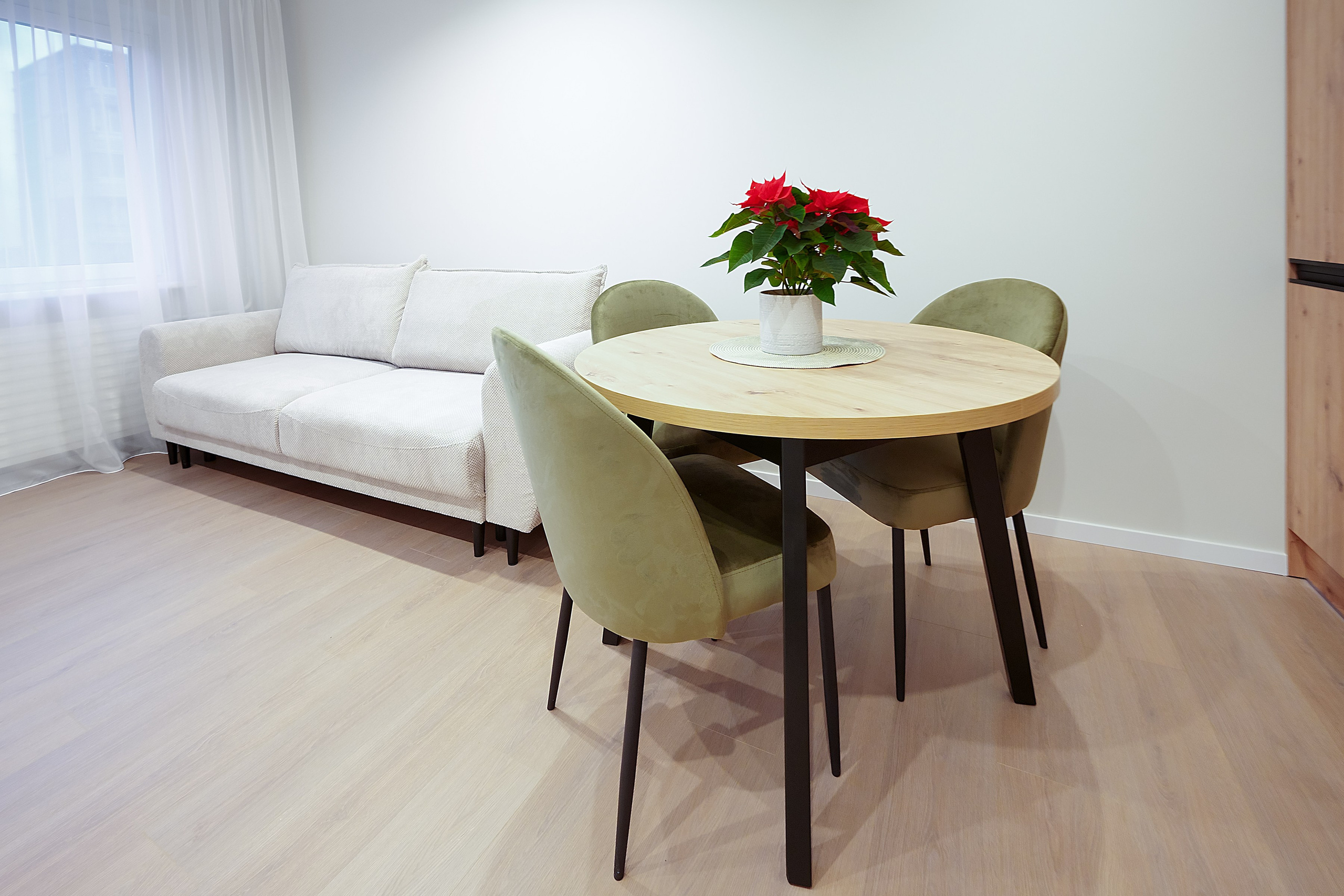 Stanevičiaus g. 82. Elina Sapiega fotografė Vilniuje