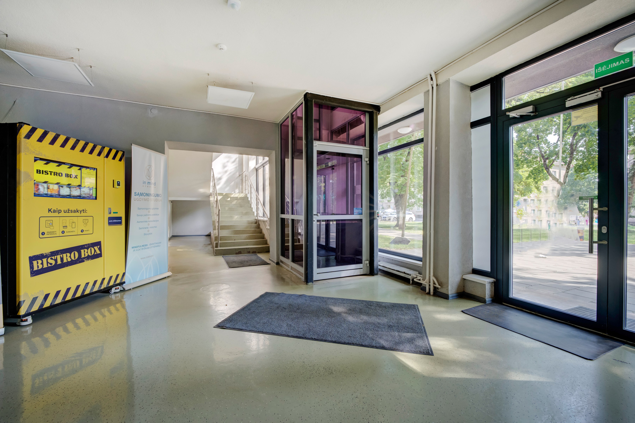 Saltoniškių g. 31. Elina Sapiega fotografė Vilniuje