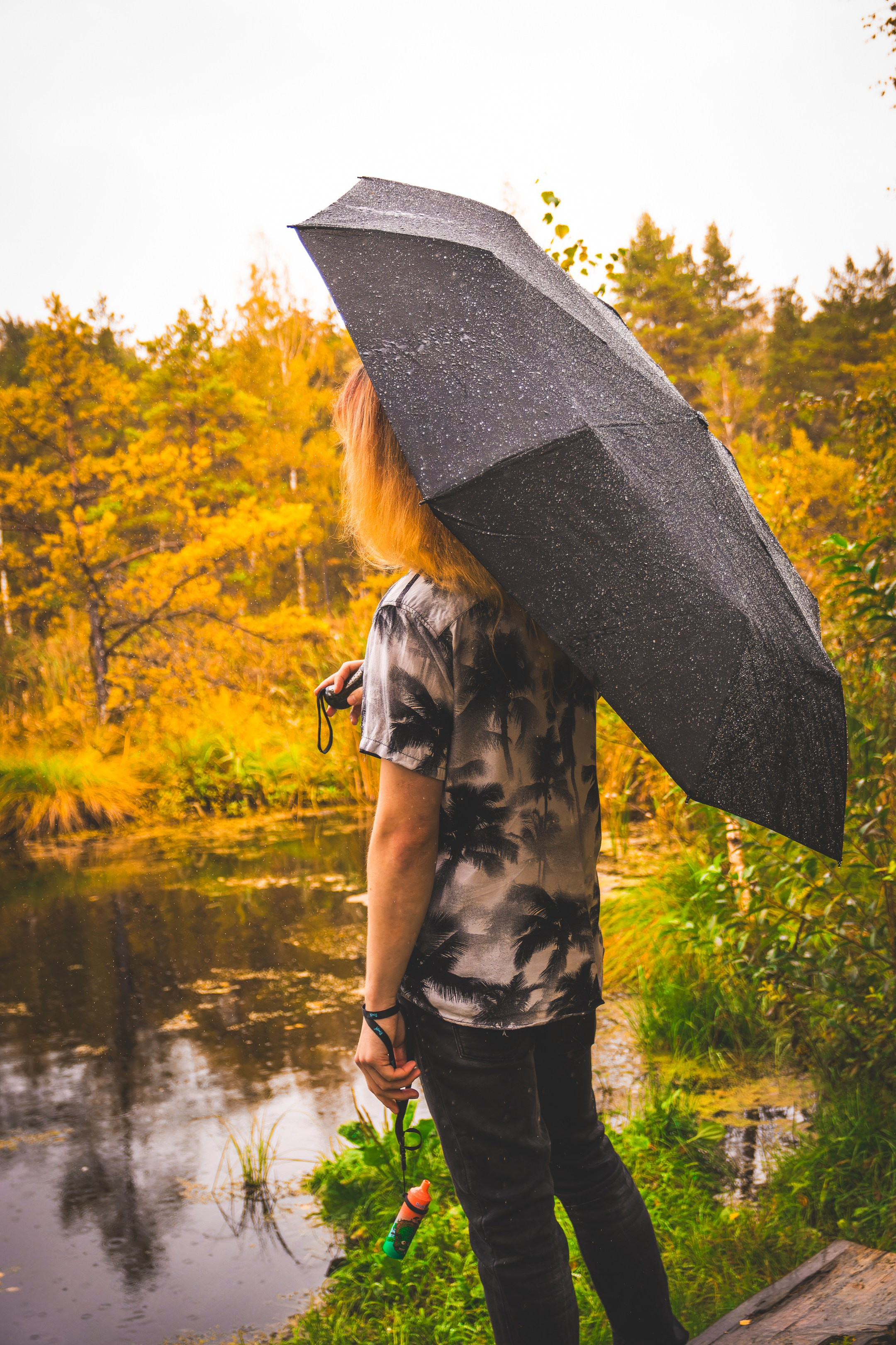 Mets, vihm ja jahedus (Dimitry). Nebula 25 — Fotod teie hingele