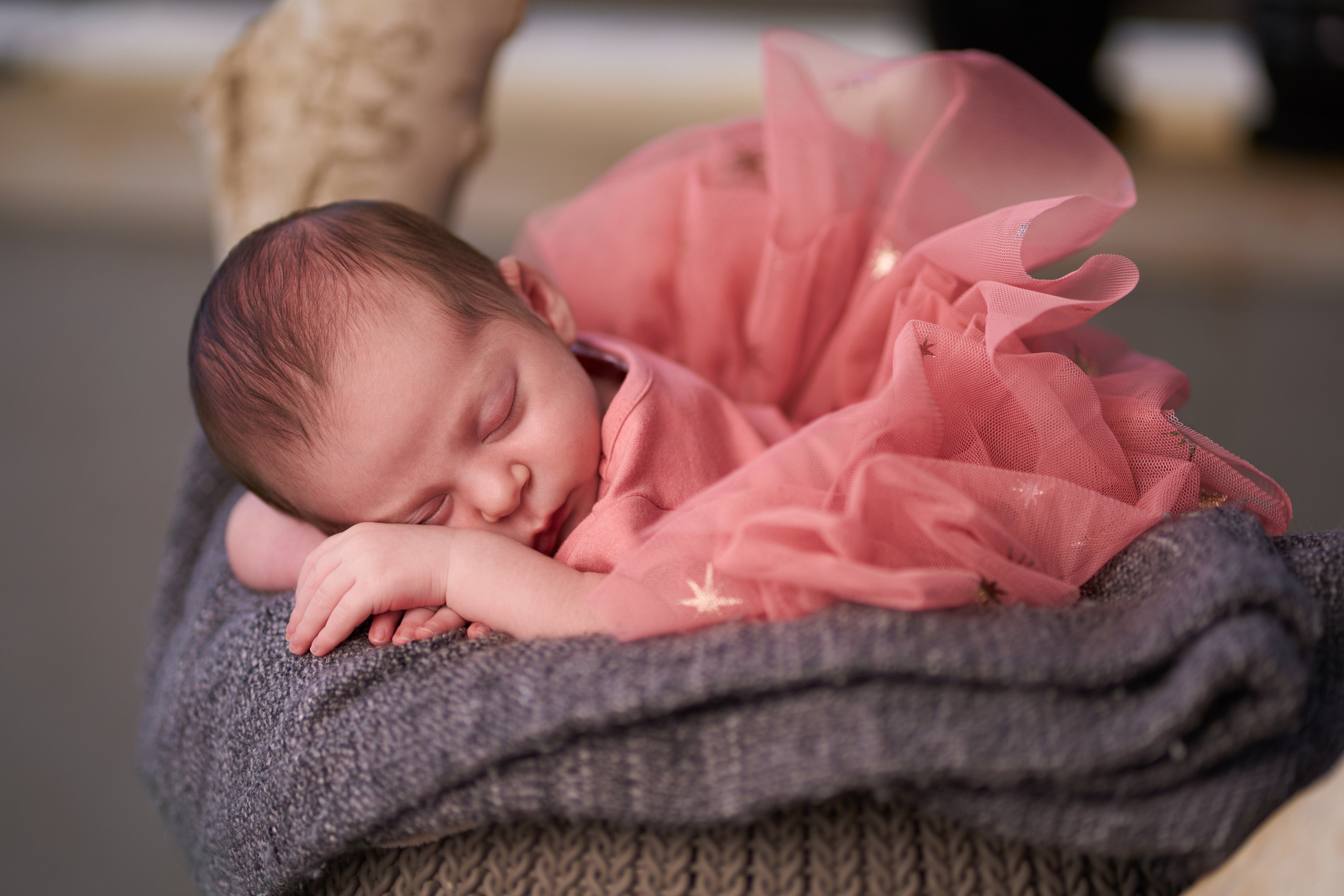 Newborn — Mia. צלם אלכס ברט בישראל