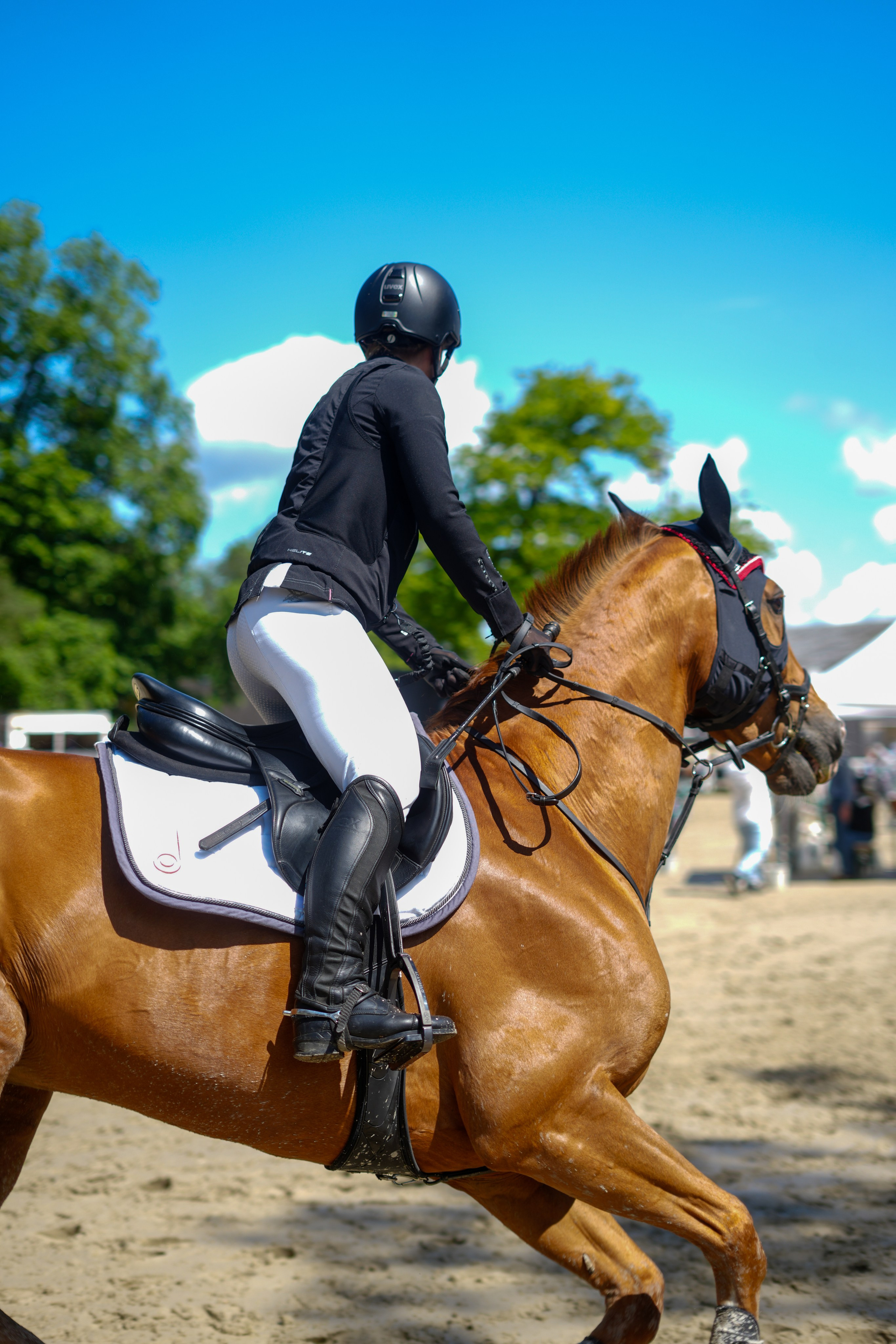 Equestrian Competition