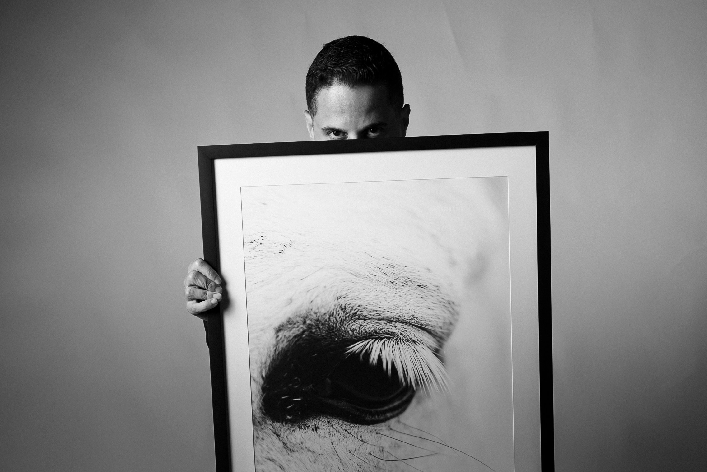 Galeria. Gustavo Visotto