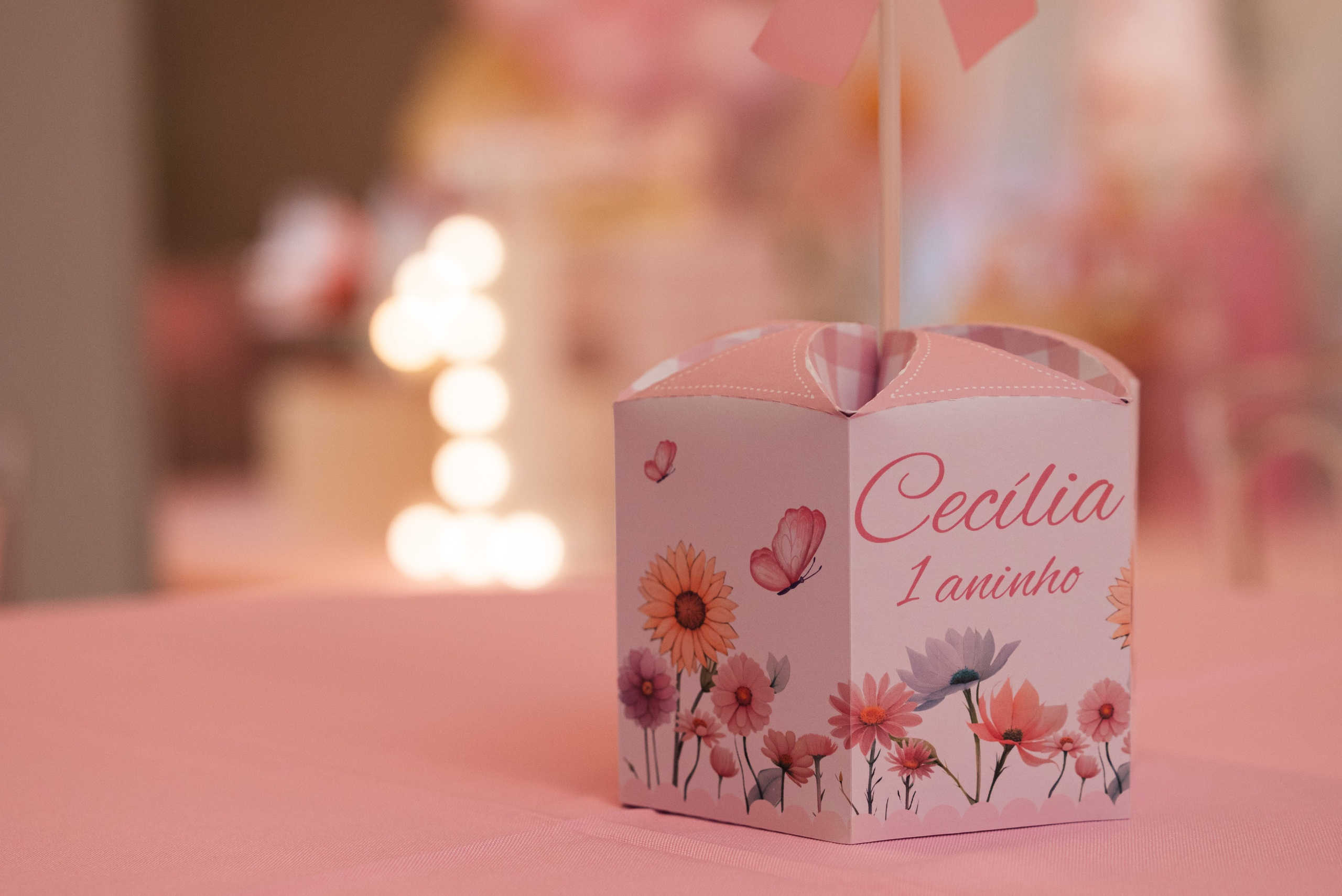 O 1 Ano da Cecília. Fotografo de casamentos e famílias no Espirito Santo — Marllus Milanez