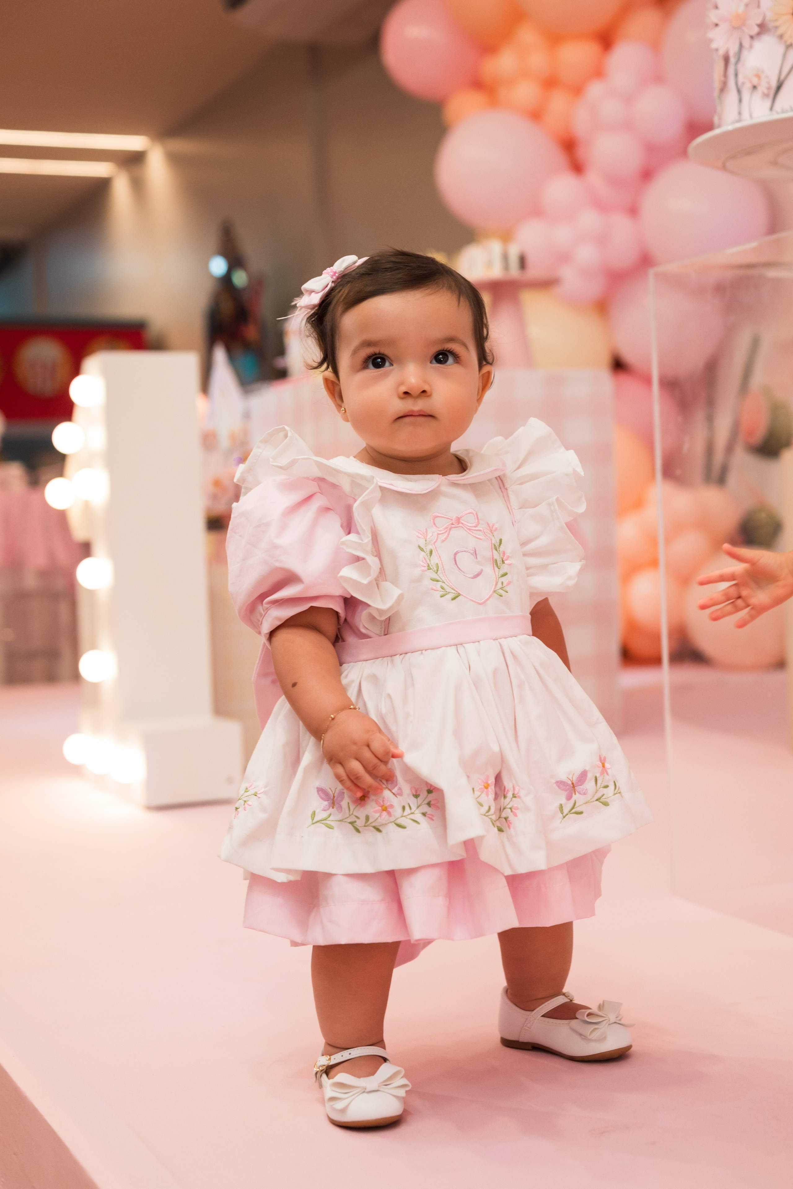 O 1 Ano da Cecília. Fotografo de casamentos e famílias no Espirito Santo — Marllus Milanez