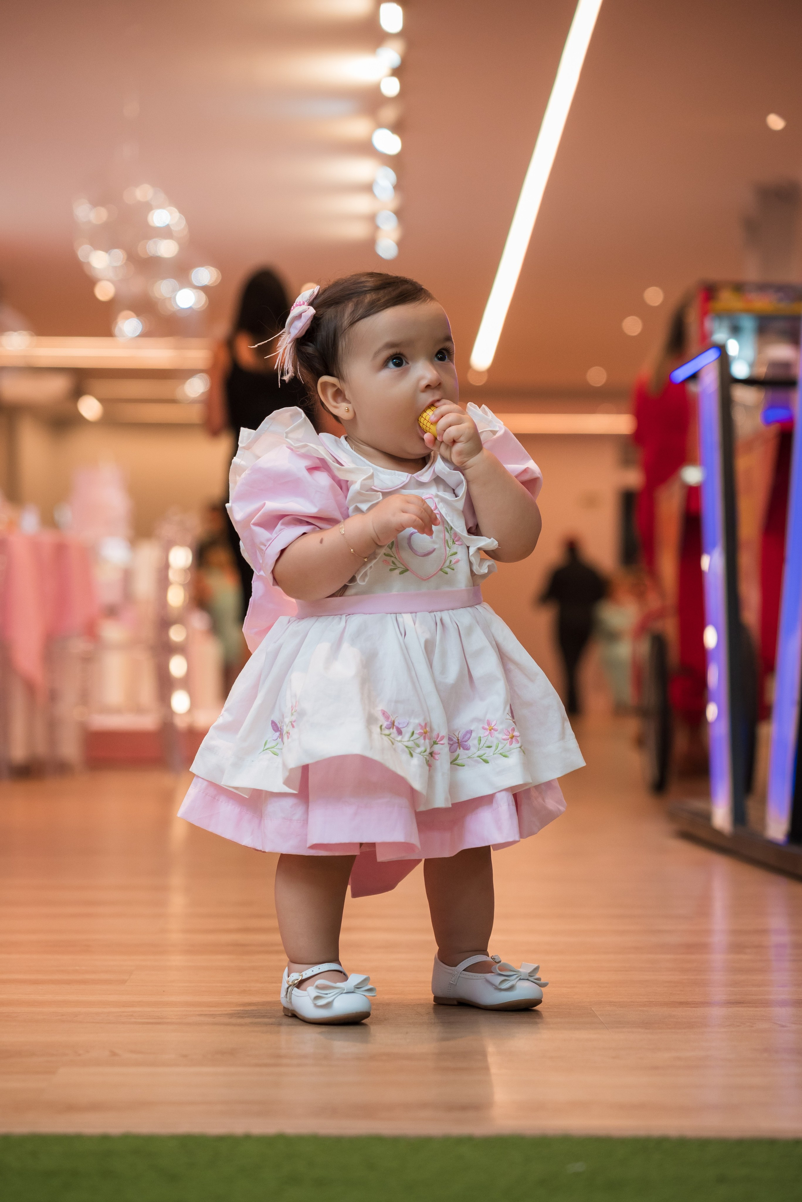O 1 Ano da Cecília. Fotografo de casamentos e famílias no Espirito Santo — Marllus Milanez