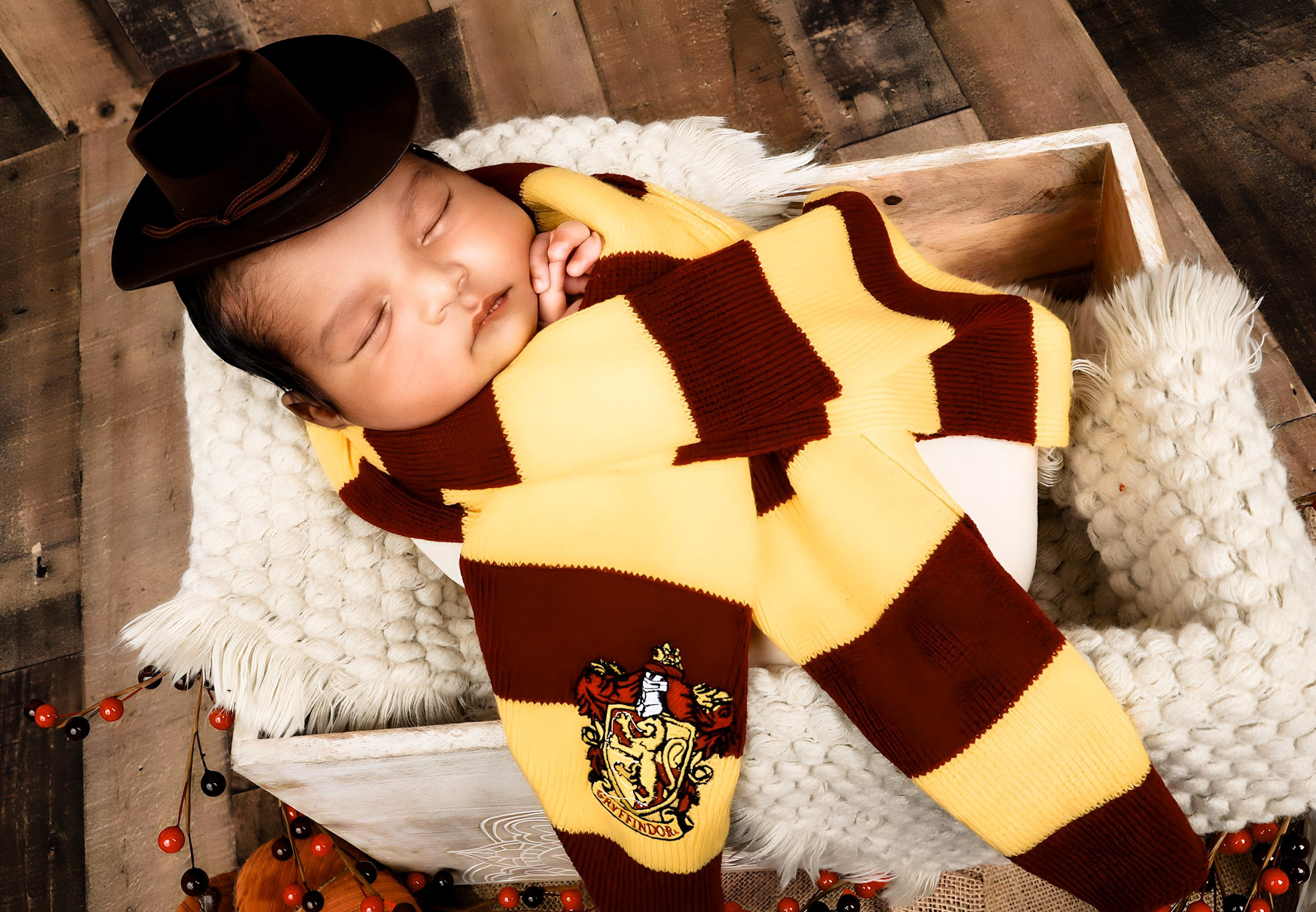 Harry Potter. AP Lens Photography | Newborn, Maternity, Milestone & Family Photographer Little Elm TX