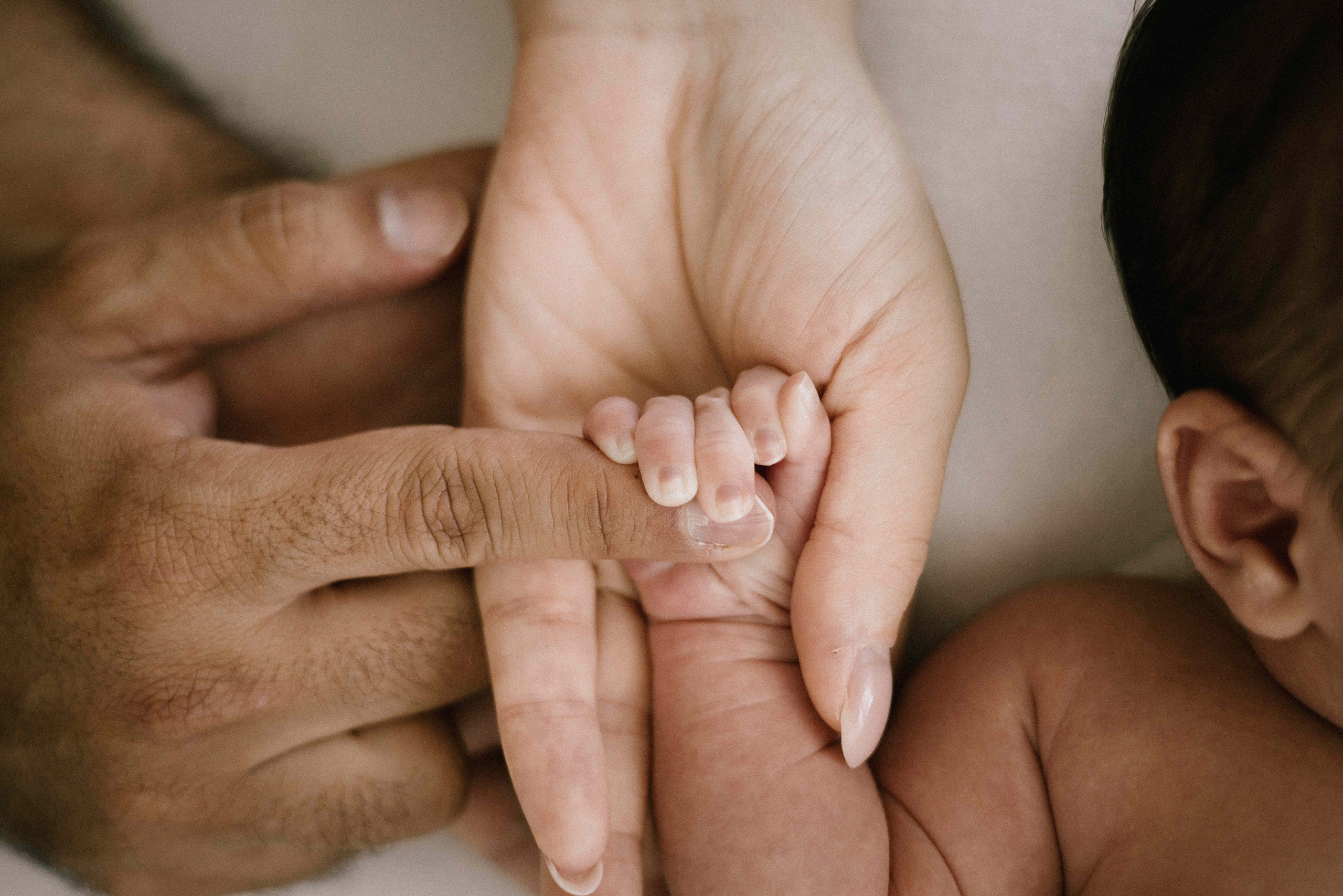 Solomon 14 days. Newborn, Maternity & Family Photographer in Charlotte, North Carolina | Arhipova Julia