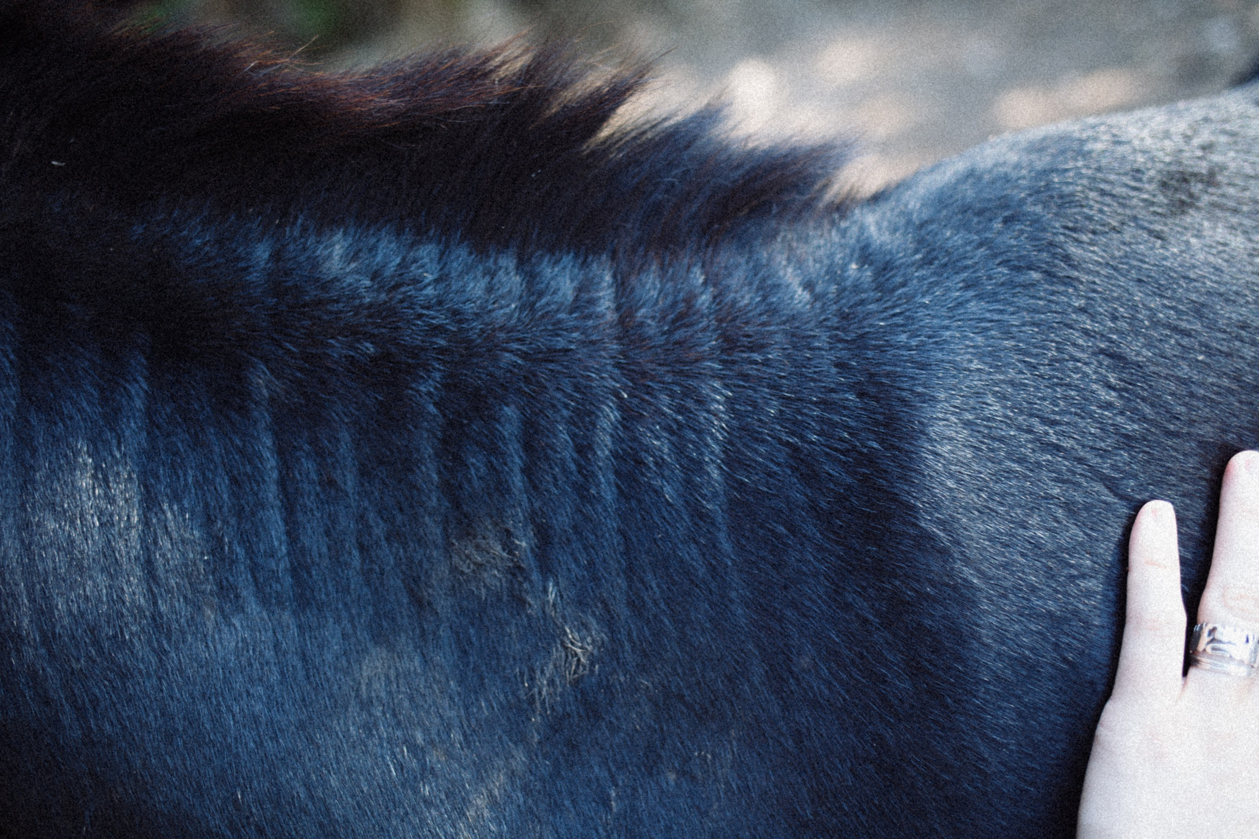 ART RESIDENCY. Marina Kálcheva – Photographer & Visual Artist in Barcelona