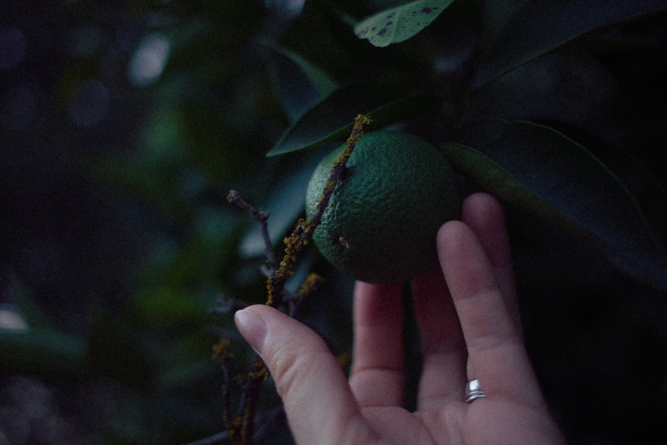 ART RESIDENCY. Marina Kálcheva – Photographer & Visual Artist in Barcelona
