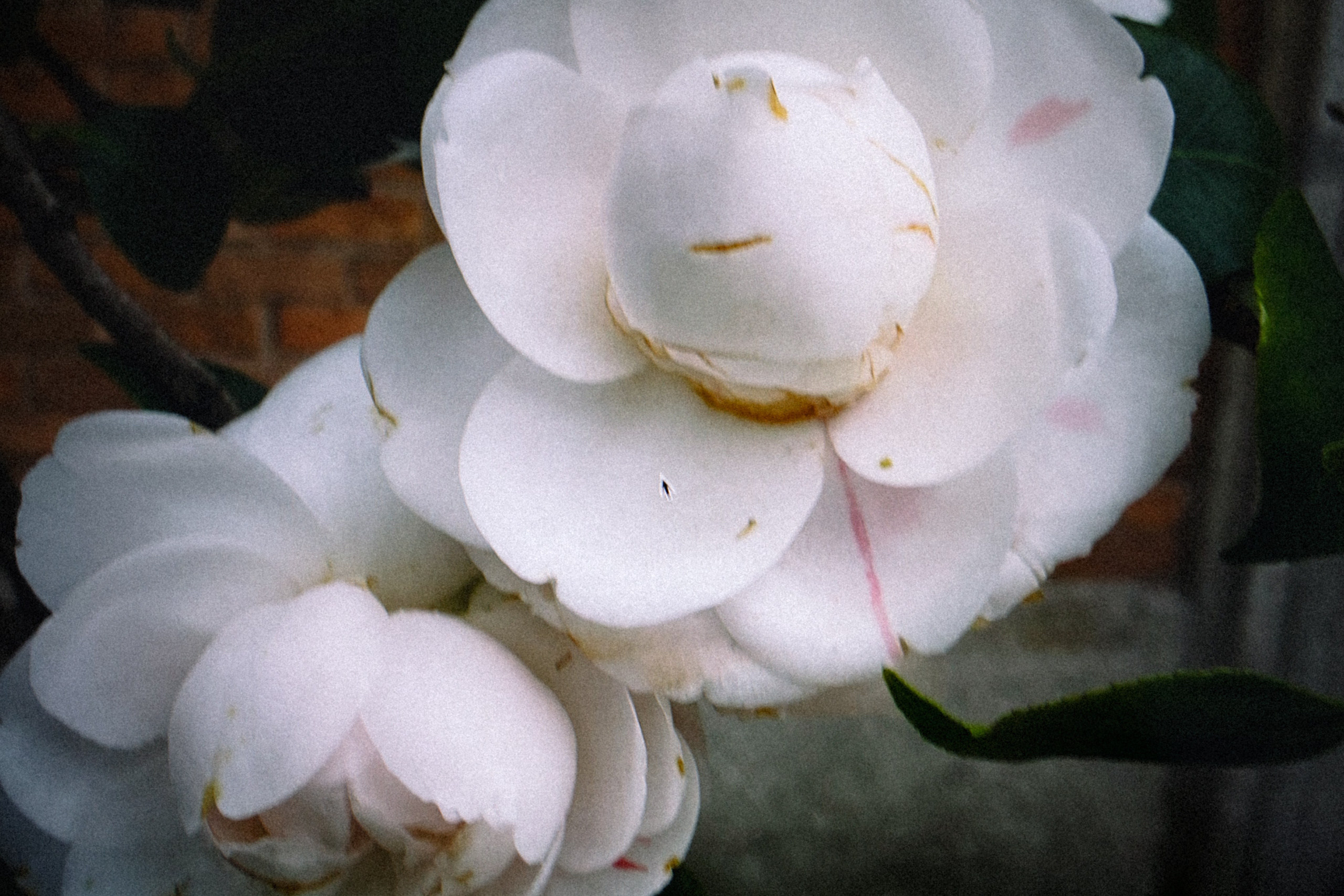 Marina Kálcheva — Photographer & Visual Artist in Barcelona