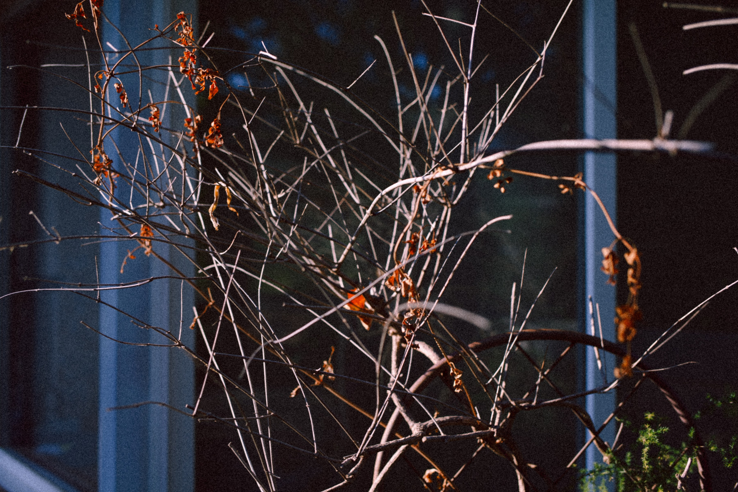 ART RESIDENCY. Marina Kálcheva – Photographer & Visual Artist in Barcelona