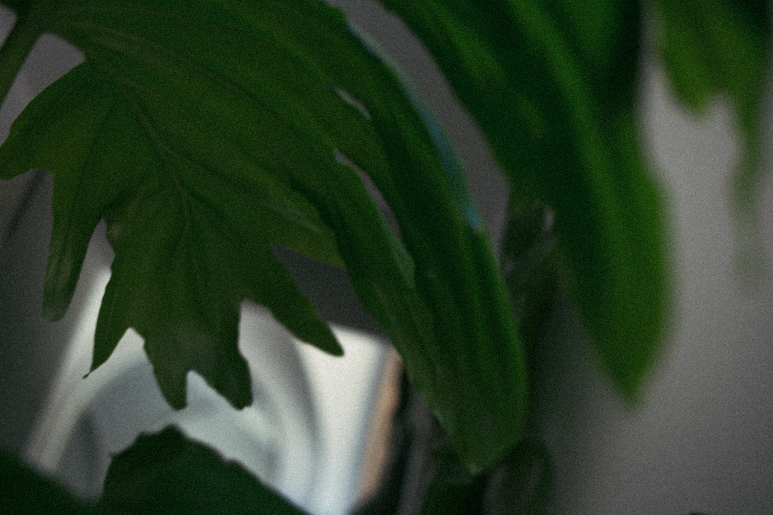 ART RESIDENCY. Marina Kálcheva – Photographer & Visual Artist in Barcelona