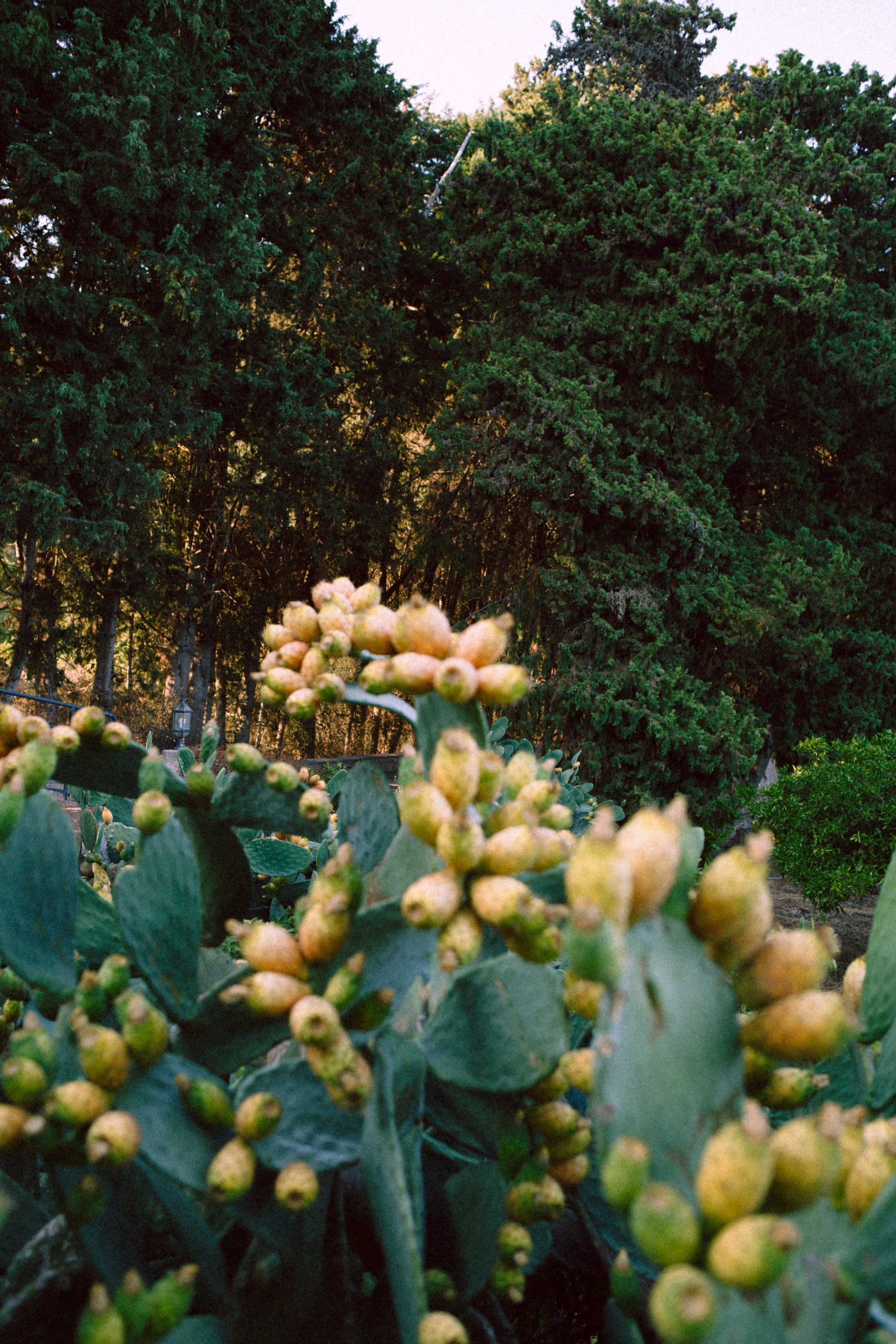 ART RESIDENCY. Marina Kálcheva – Photographer & Visual Artist in Barcelona