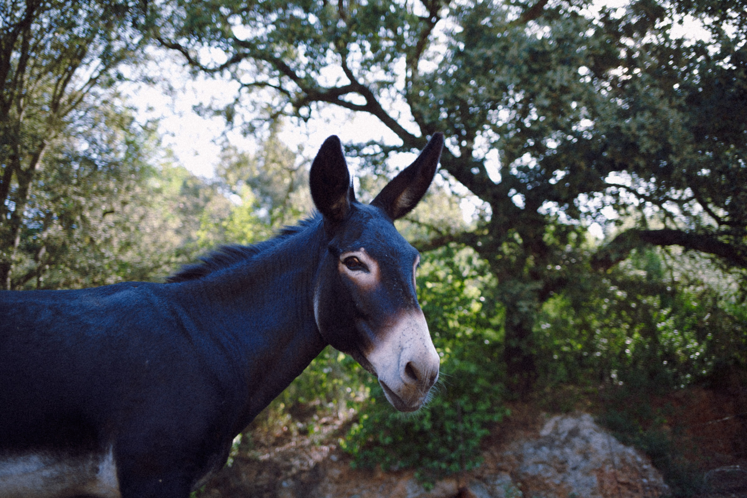 ART RESIDENCY. Marina Kálcheva – Photographer & Visual Artist in Barcelona