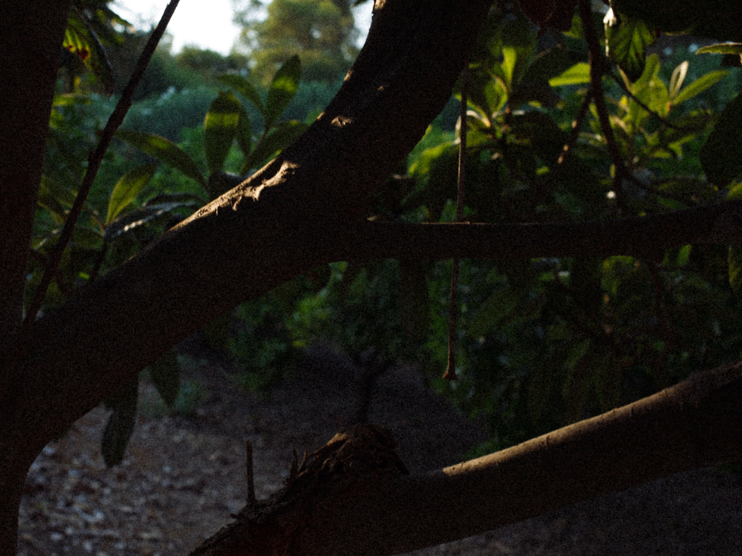 ART RESIDENCY. Marina Kálcheva – Photographer & Visual Artist in Barcelona