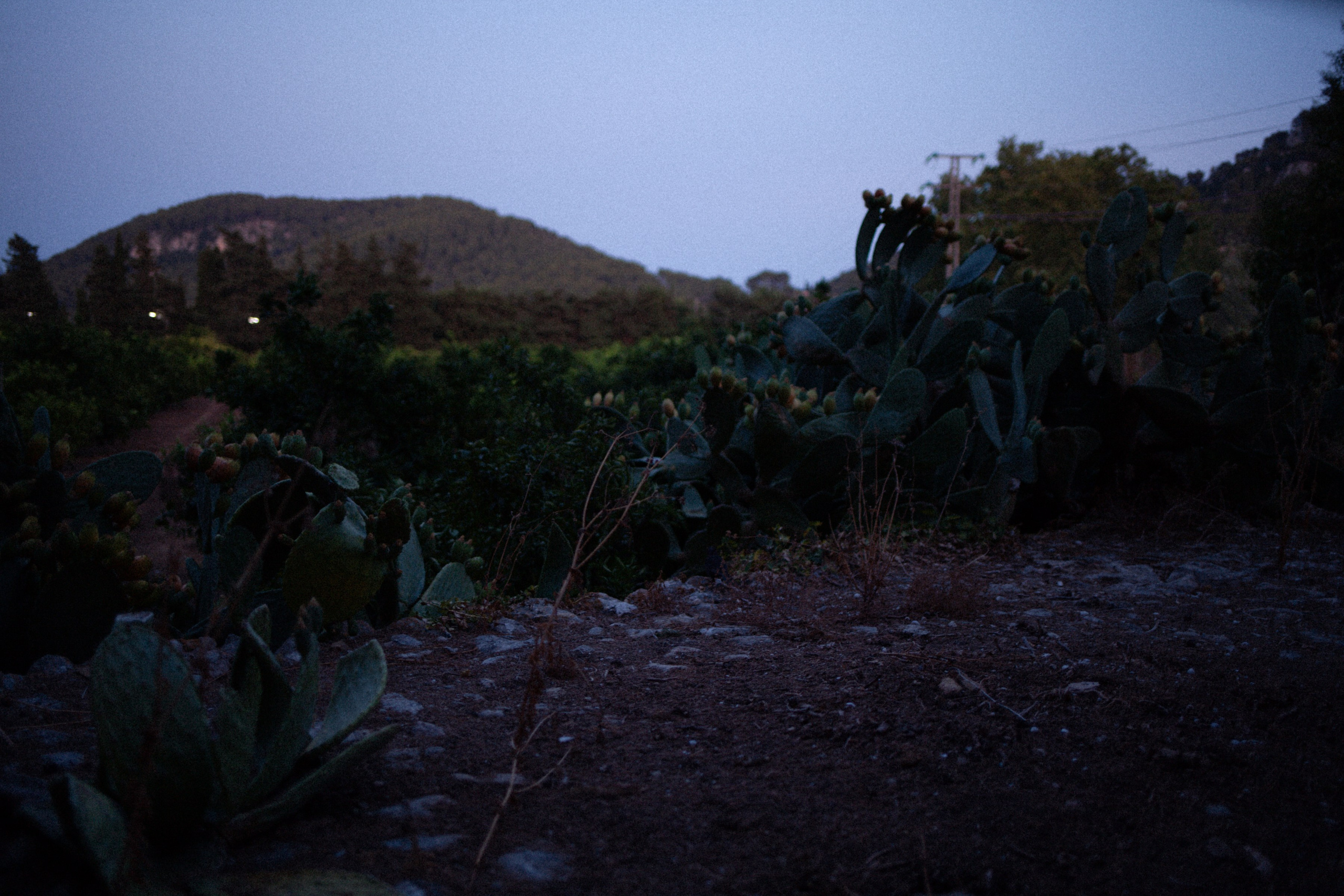 ART RESIDENCY. Marina Kálcheva – Photographer & Visual Artist in Barcelona