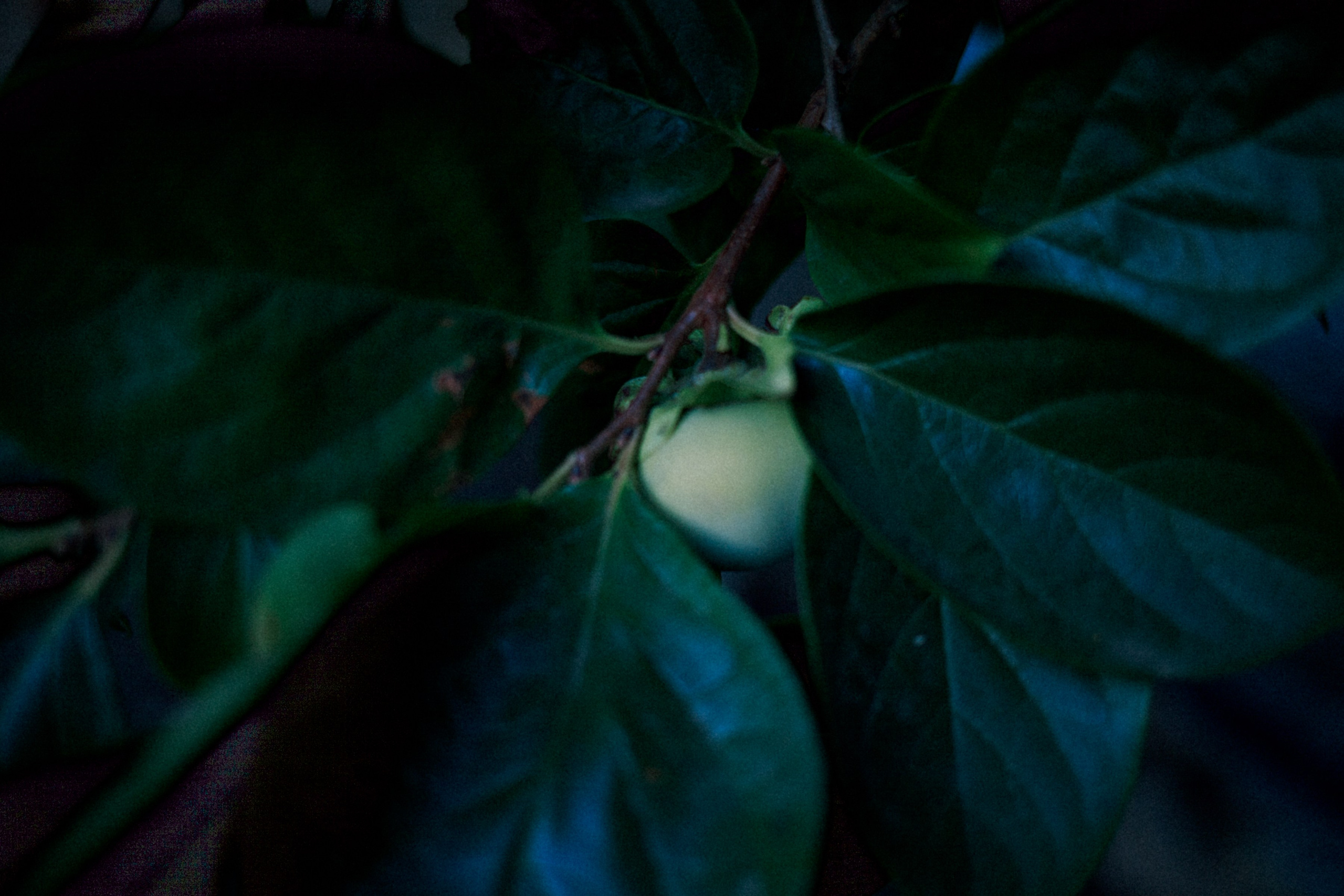ART RESIDENCY. Marina Kálcheva – Photographer & Visual Artist in Barcelona