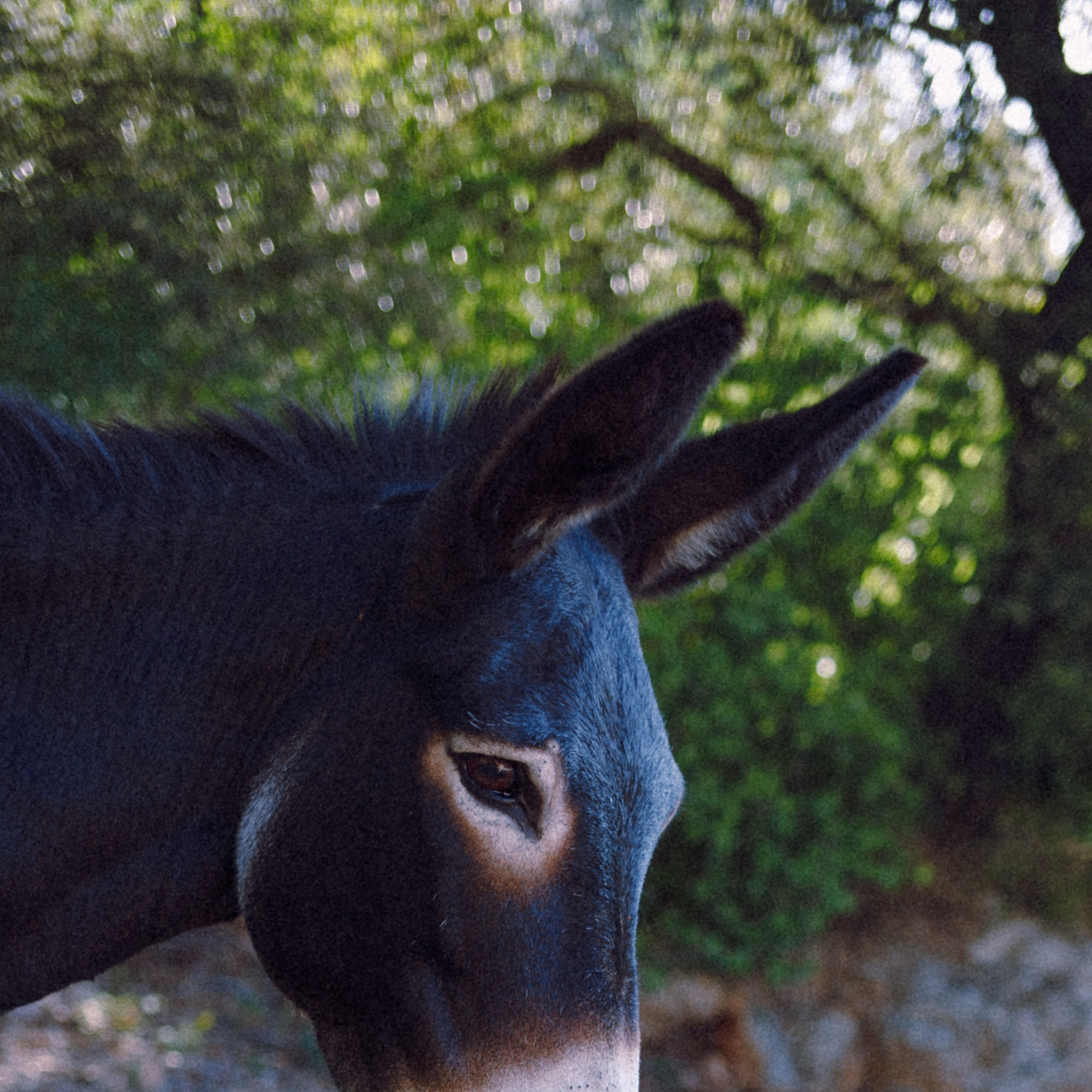 ART RESIDENCY. Marina Kálcheva – Photographer & Visual Artist in Barcelona