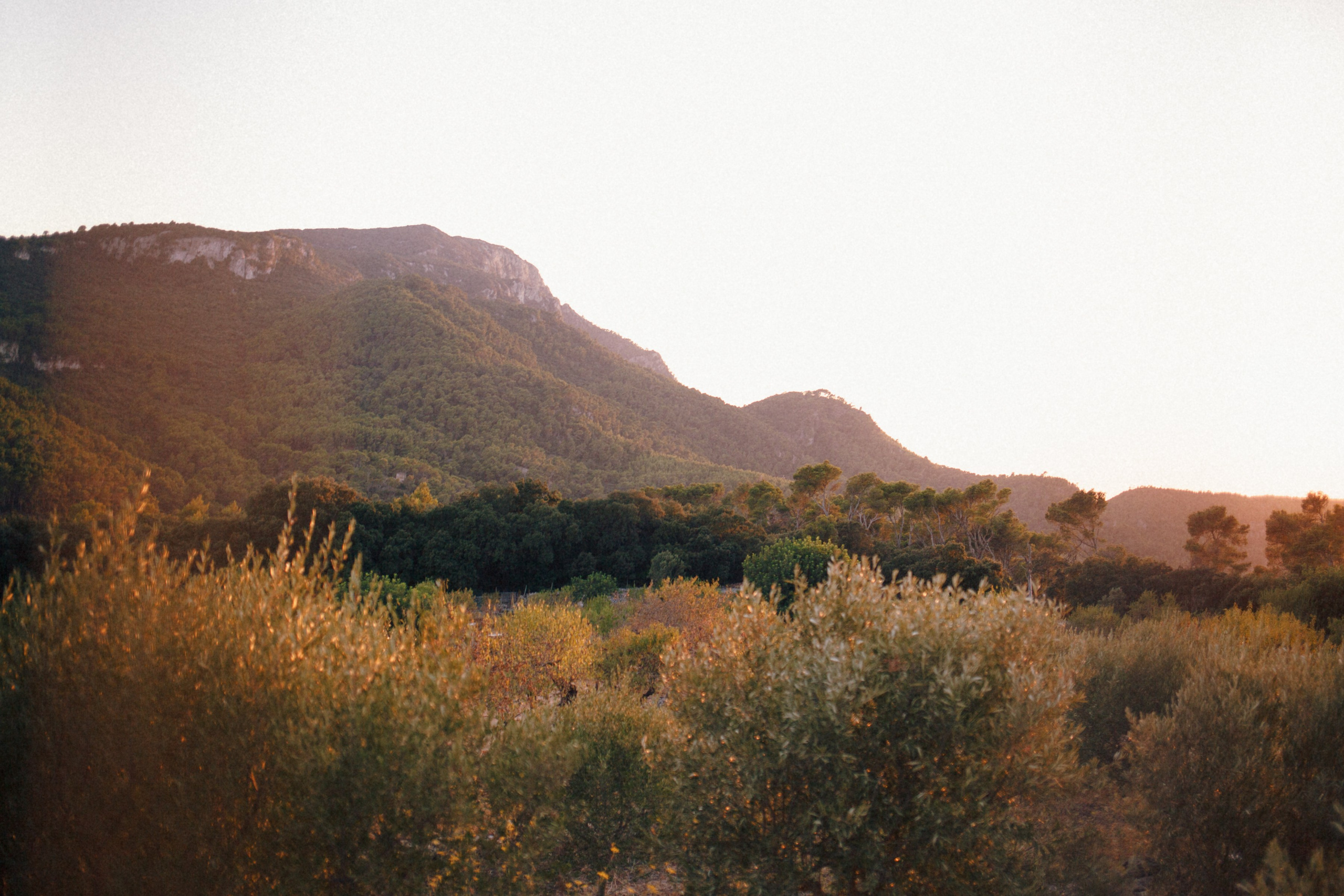 ART RESIDENCY. Marina Kálcheva – Photographer & Visual Artist in Barcelona