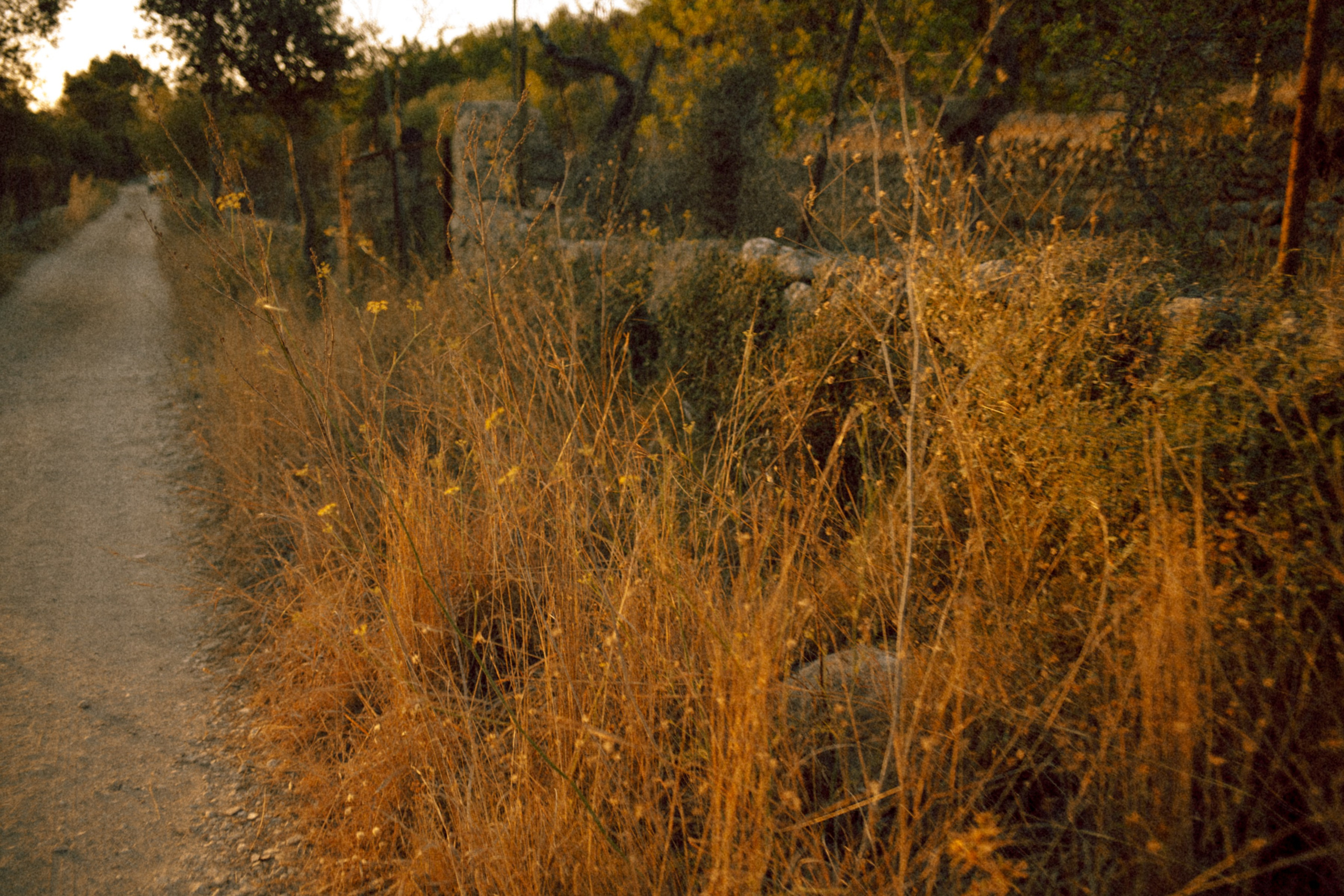 ART RESIDENCY. Marina Kálcheva – Photographer & Visual Artist in Barcelona