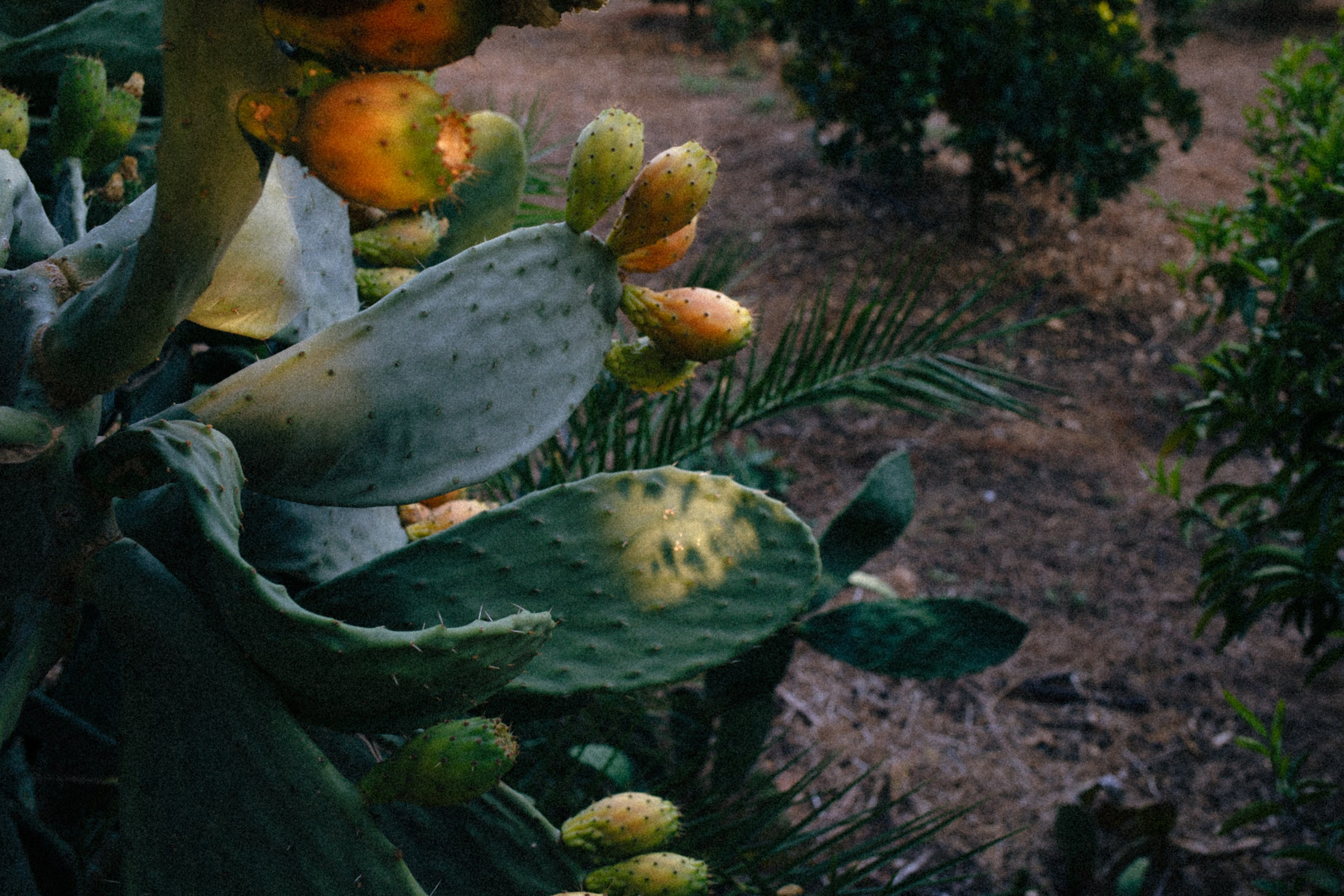 ART RESIDENCY. Marina Kálcheva – Photographer & Visual Artist in Barcelona