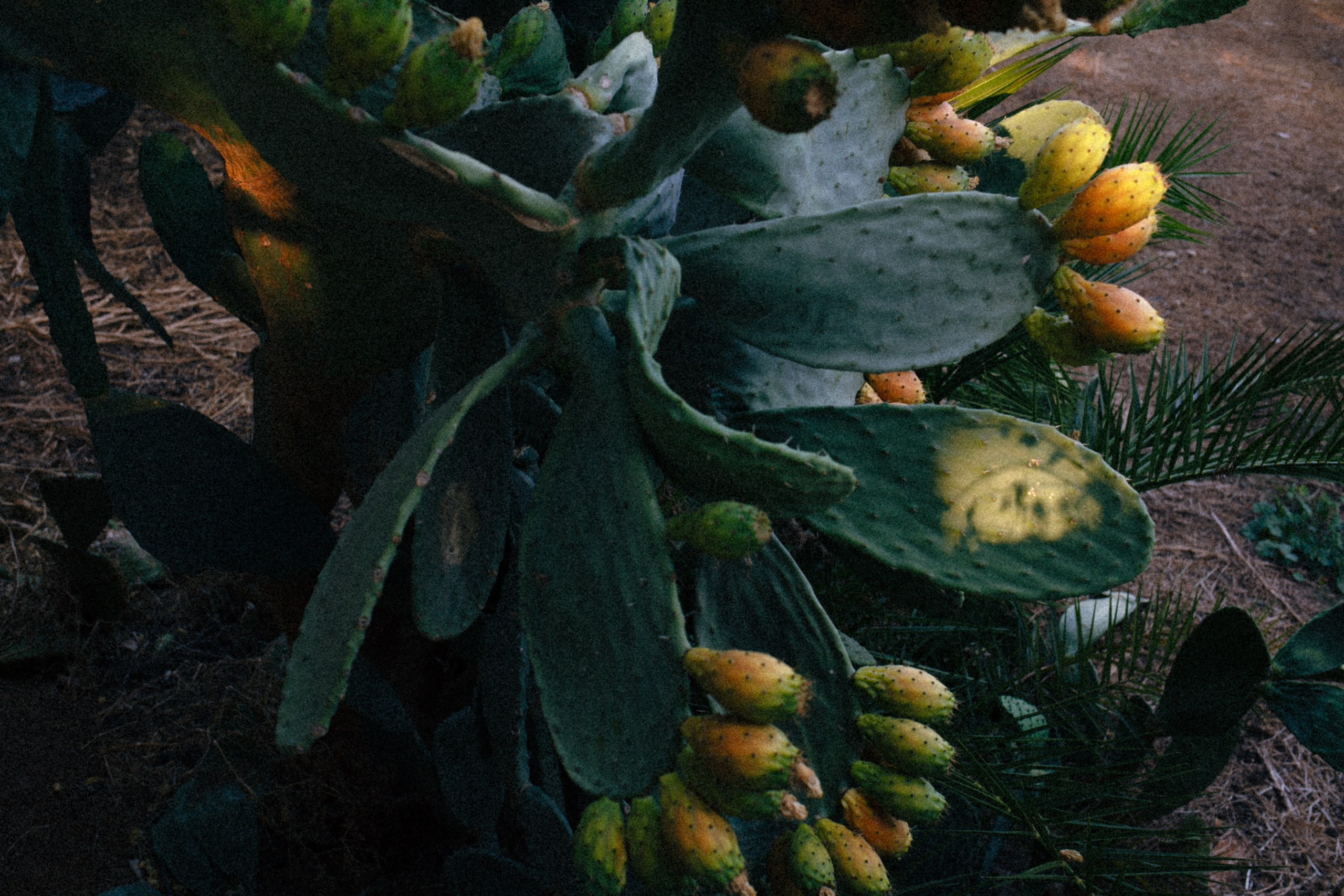 ART RESIDENCY. Marina Kálcheva – Photographer & Visual Artist in Barcelona