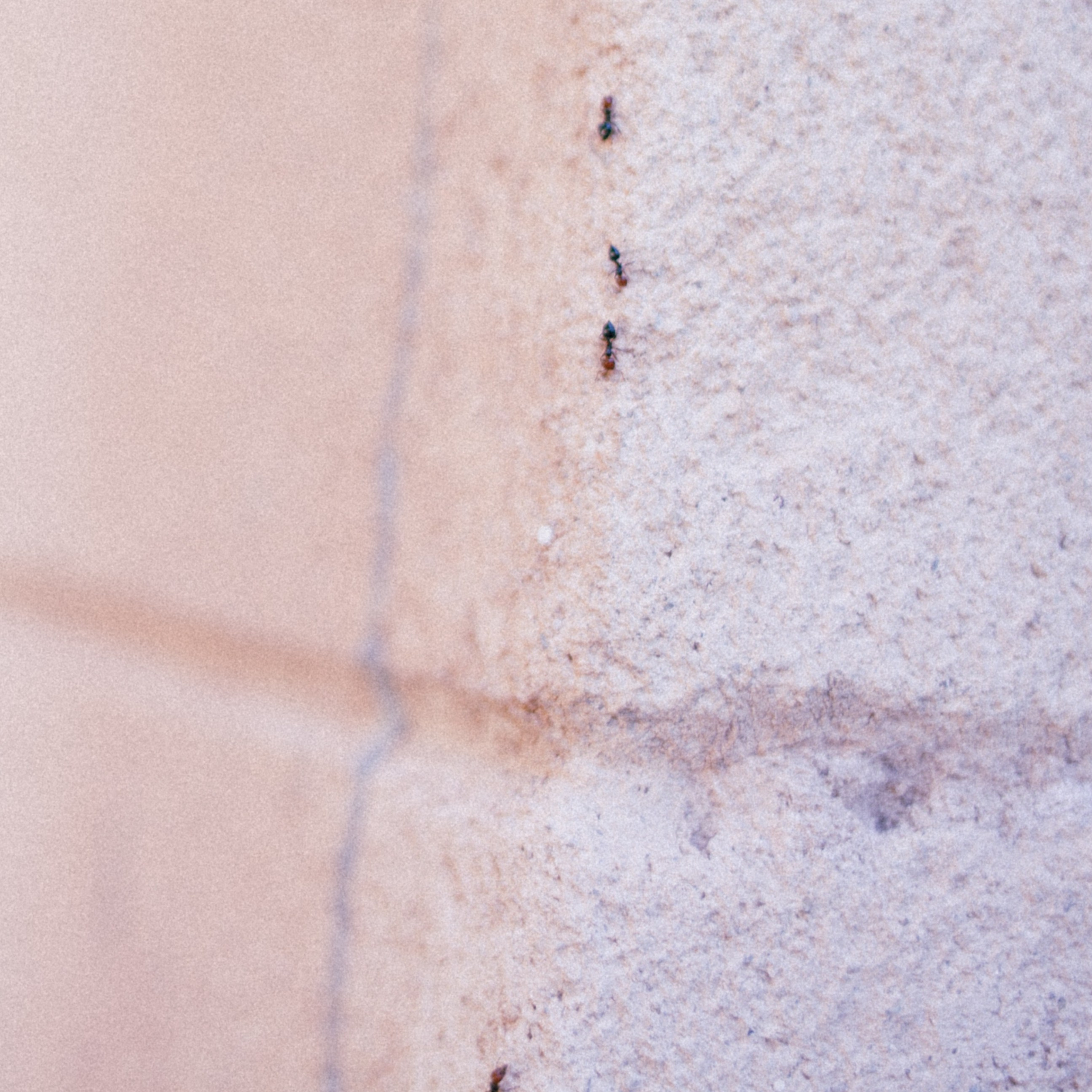ART RESIDENCY. Marina Kálcheva – Photographer & Visual Artist in Barcelona