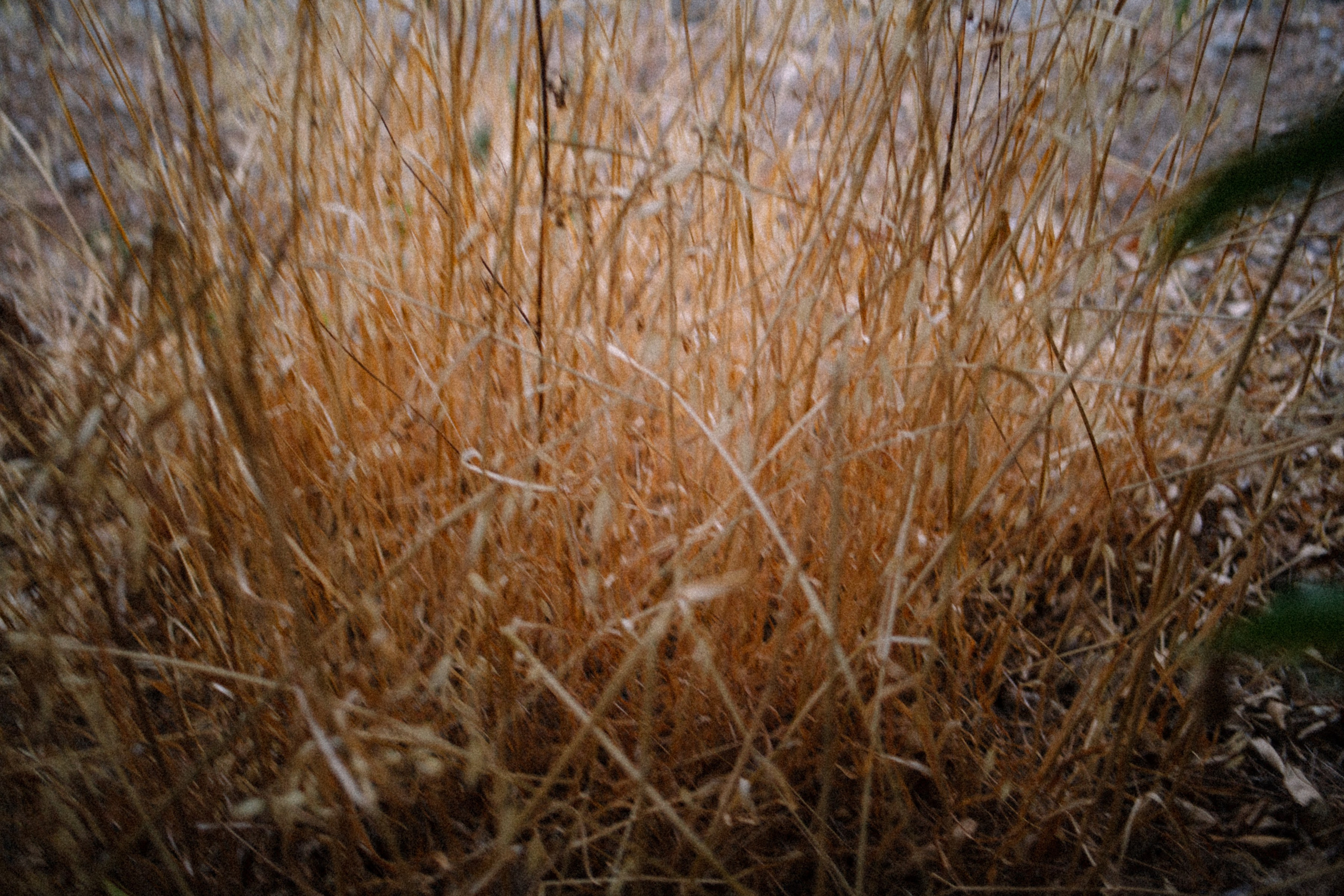 ART RESIDENCY. Marina Kálcheva – Photographer & Visual Artist in Barcelona