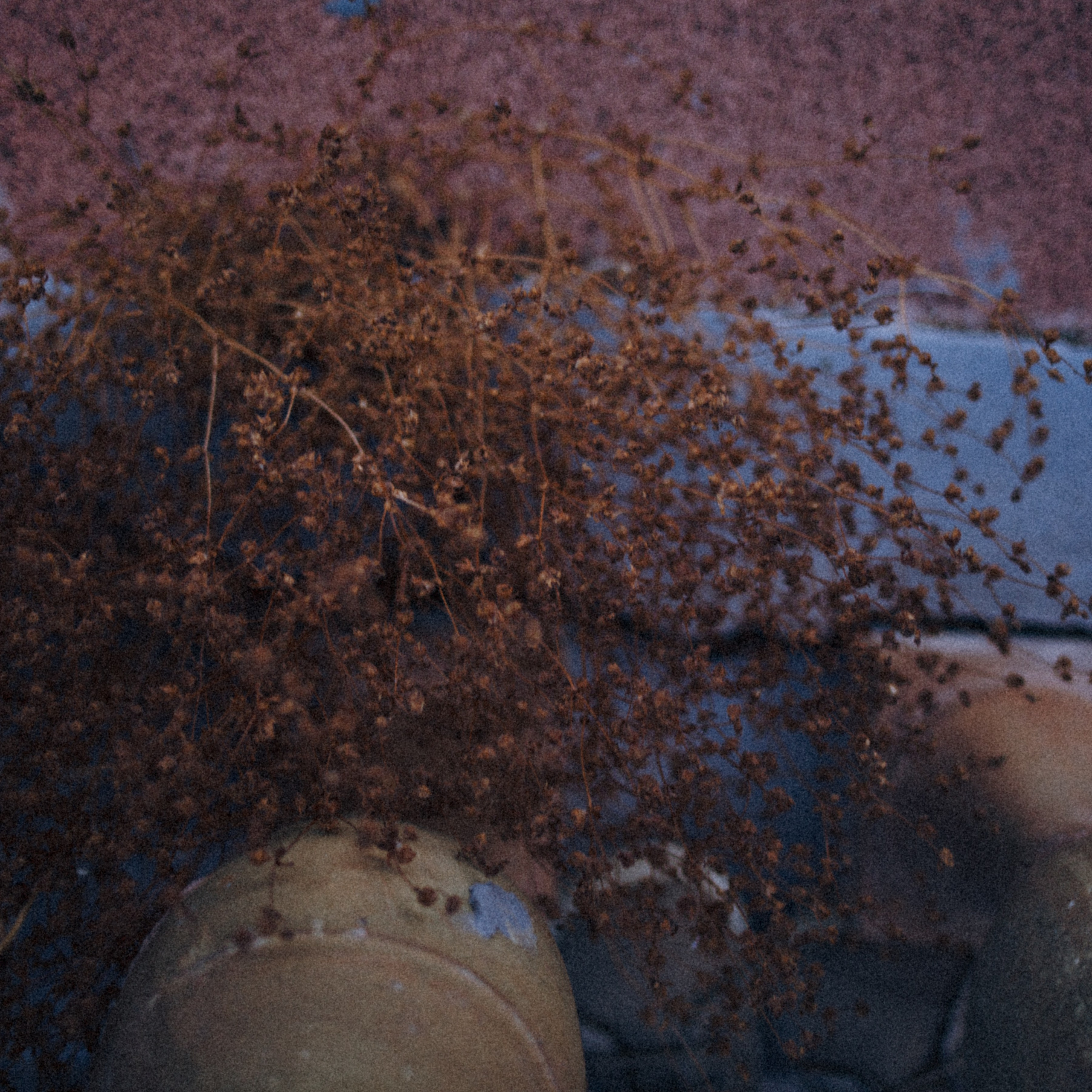 ART RESIDENCY. Marina Kálcheva – Photographer & Visual Artist in Barcelona