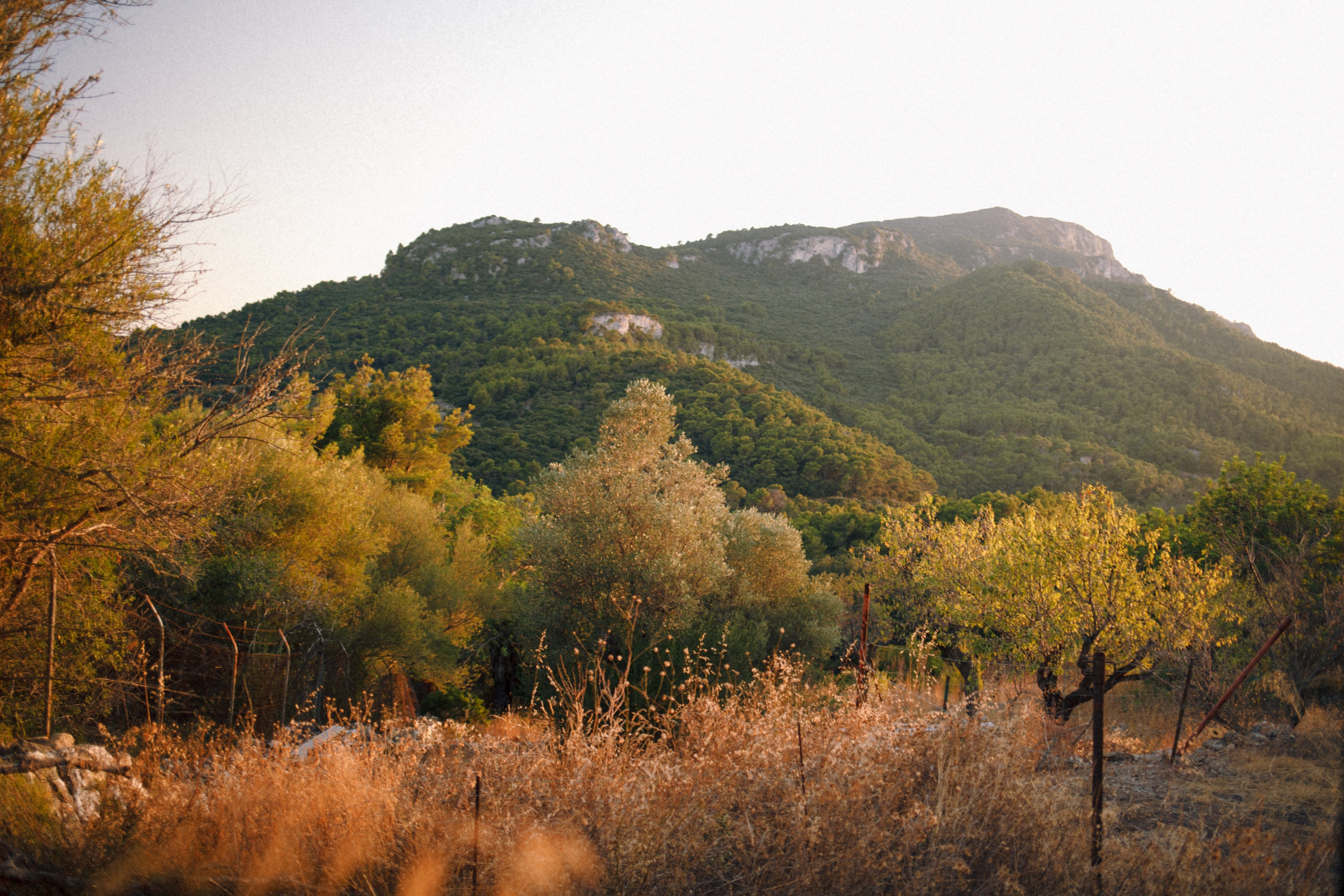 ART RESIDENCY. Marina Kálcheva – Photographer & Visual Artist in Barcelona