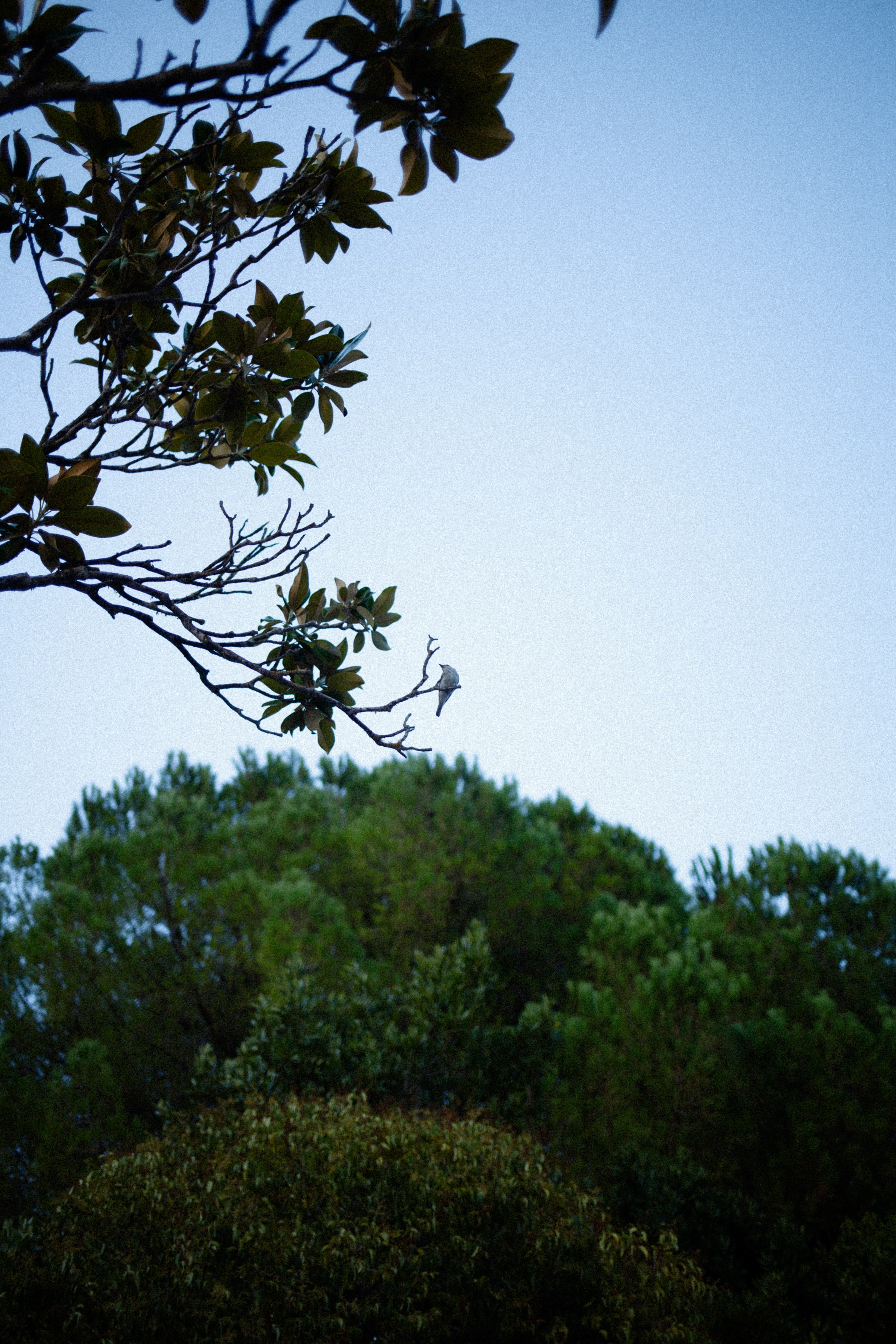 ART RESIDENCY. Marina Kálcheva – Photographer & Visual Artist in Barcelona