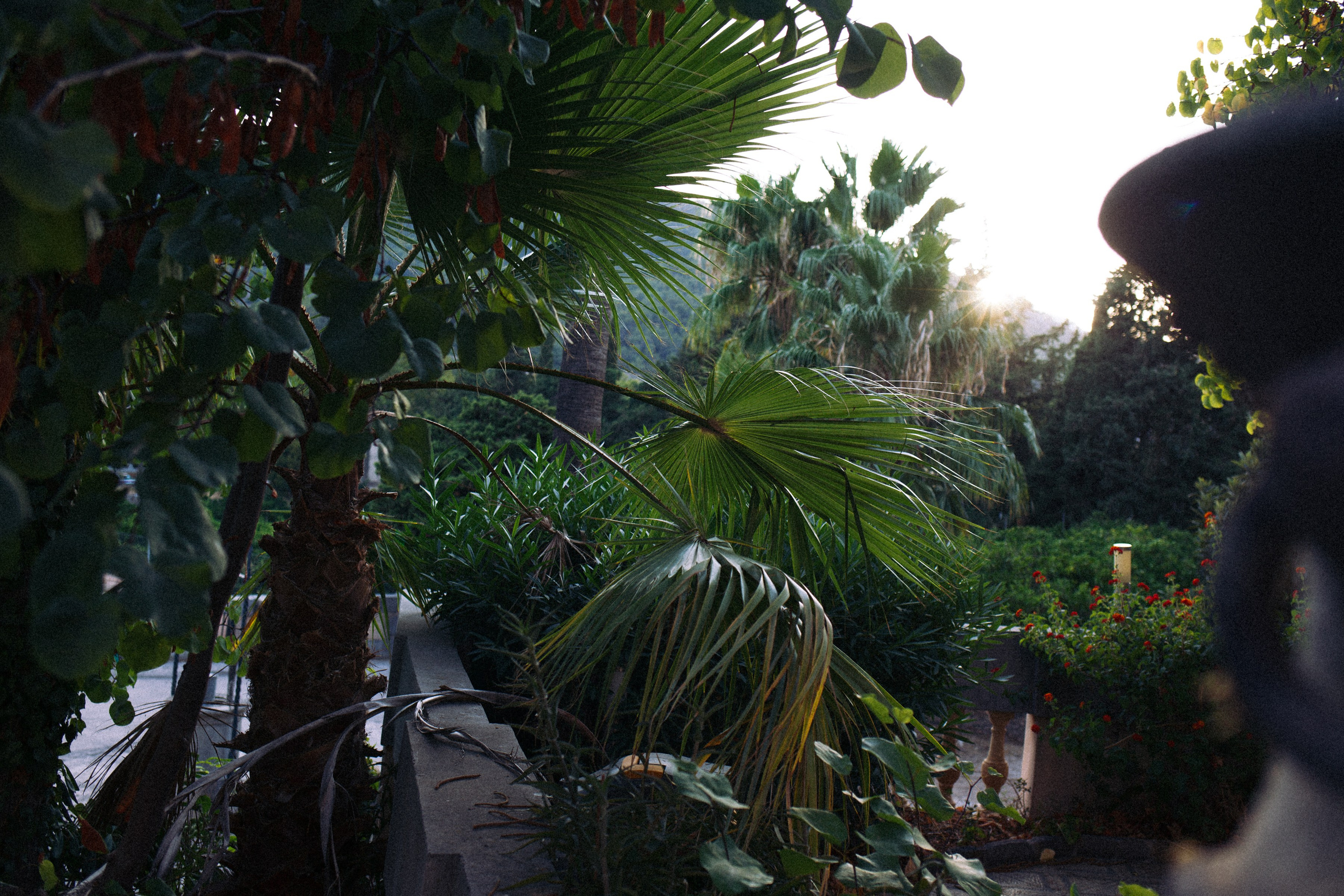 ART RESIDENCY. Marina Kálcheva – Photographer & Visual Artist in Barcelona