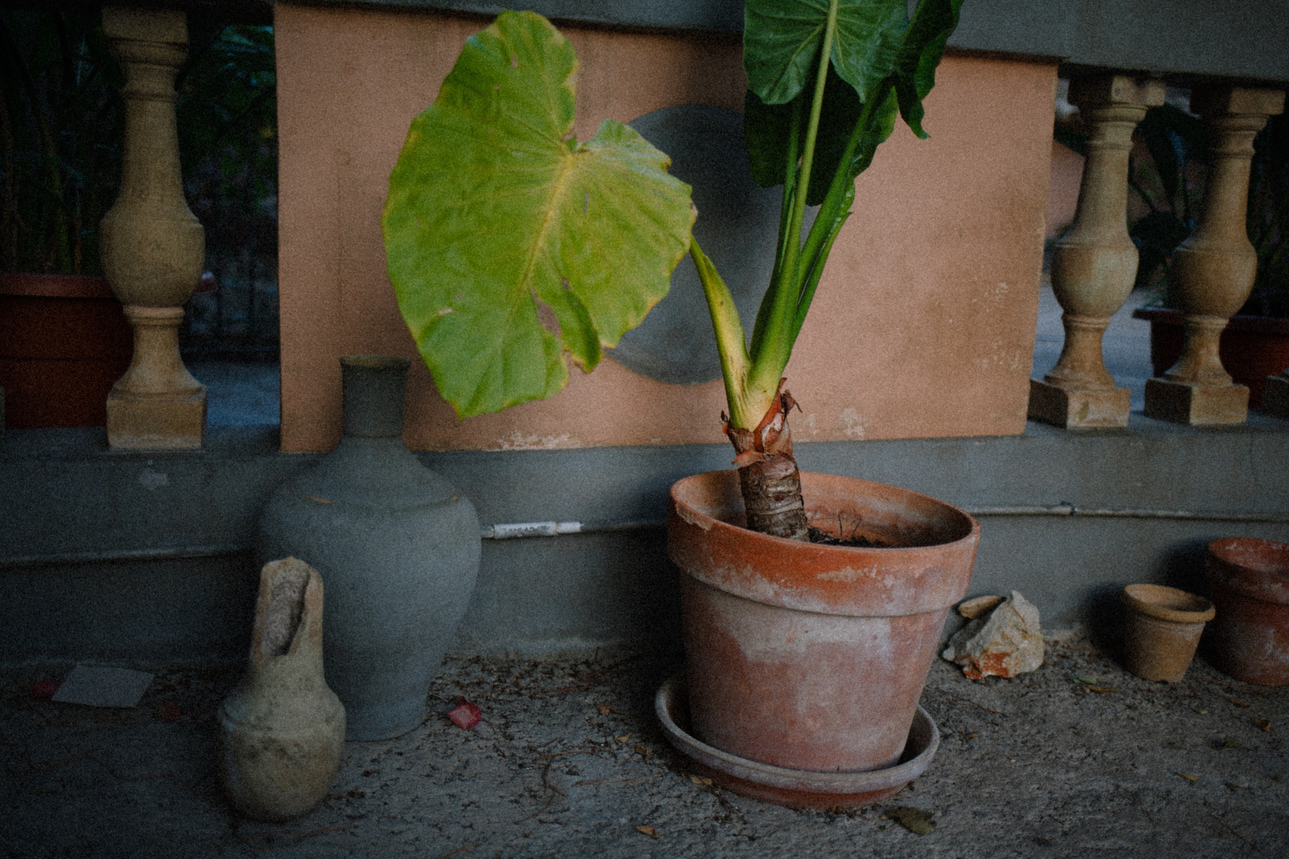 ART RESIDENCY. Marina Kálcheva – Photographer & Visual Artist in Barcelona