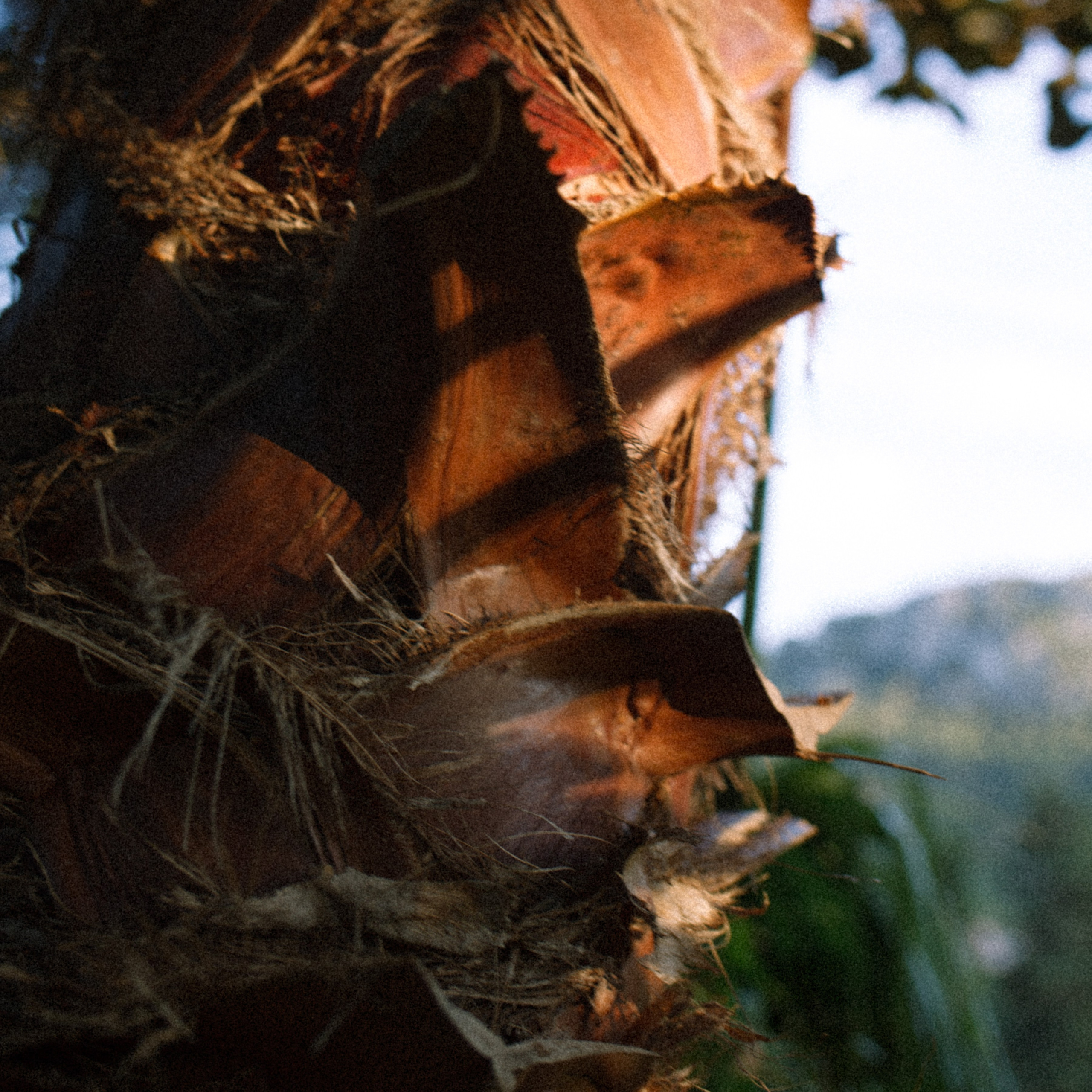 ART RESIDENCY. Marina Kálcheva – Photographer & Visual Artist in Barcelona