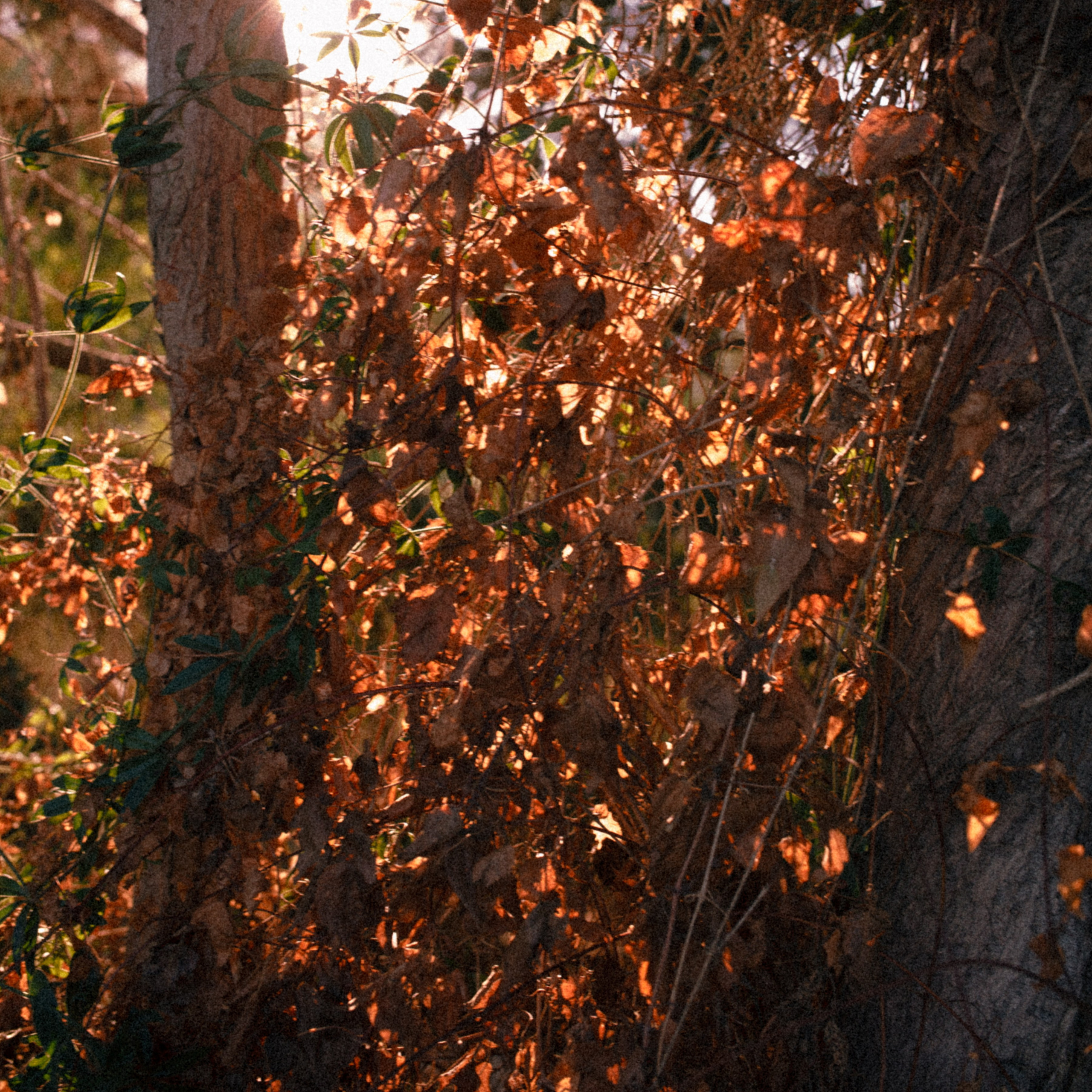 ART RESIDENCY. Marina Kálcheva – Photographer & Visual Artist in Barcelona