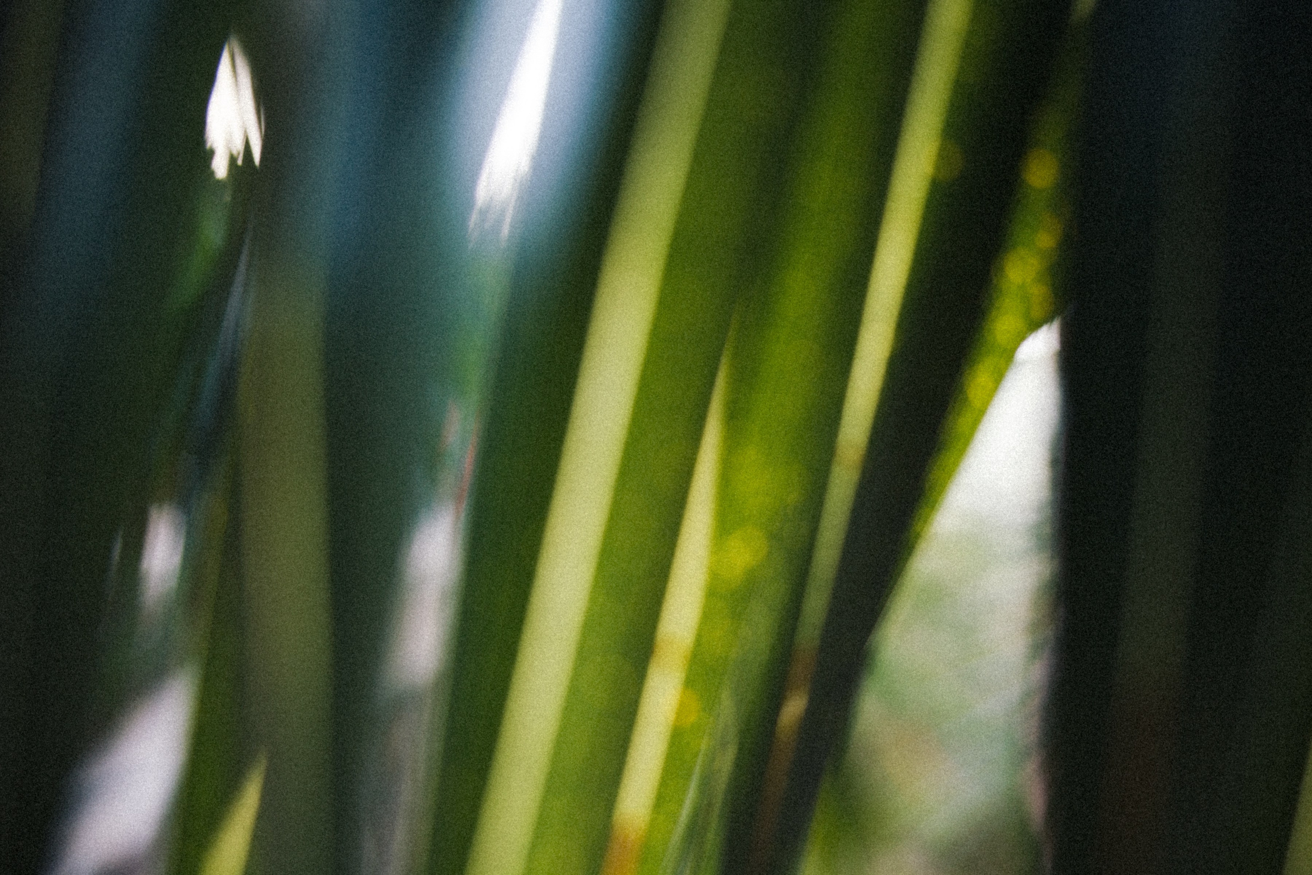 ART RESIDENCY. Marina Kálcheva – Photographer & Visual Artist in Barcelona
