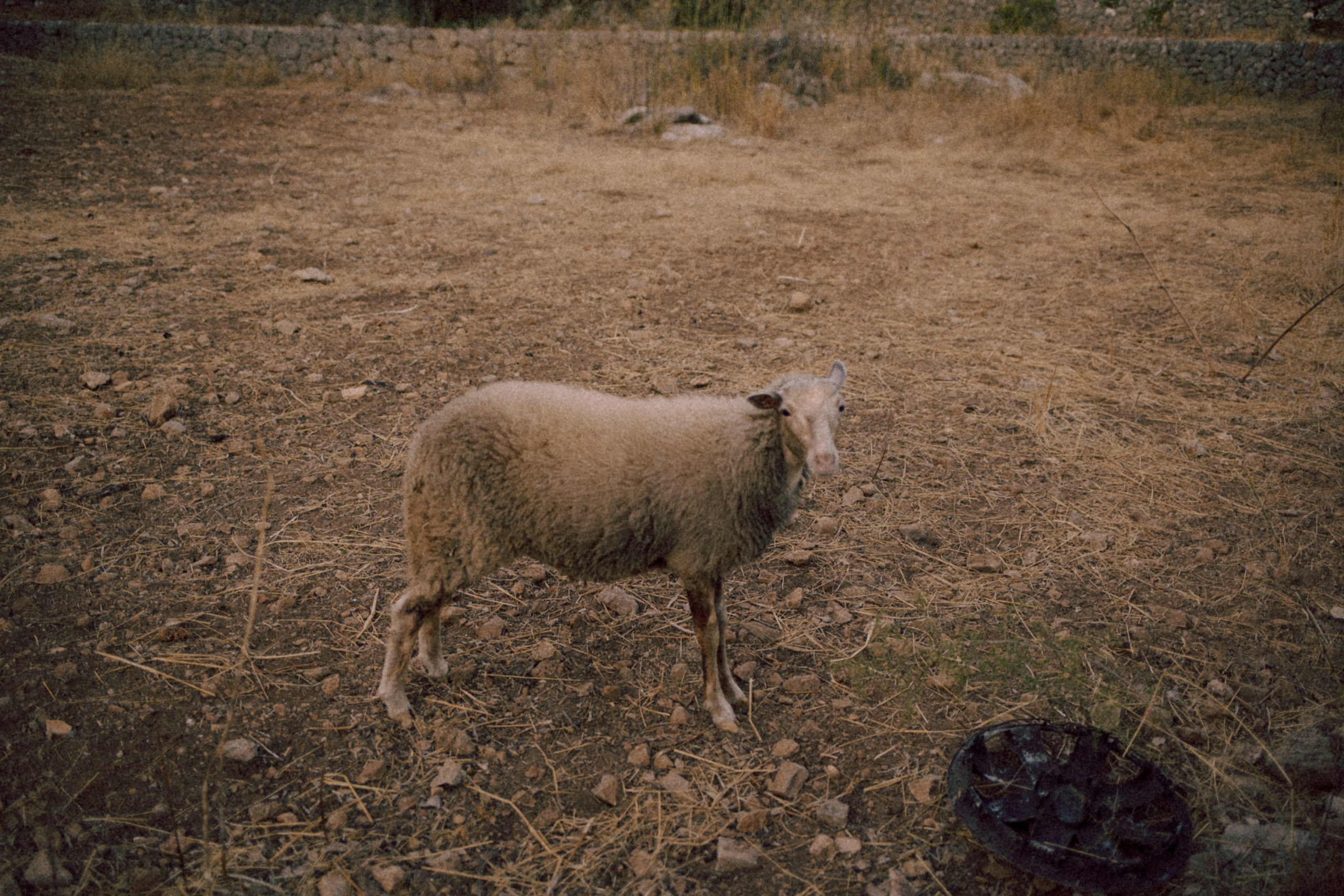 ART RESIDENCY. Marina Kálcheva – Photographer & Visual Artist in Barcelona
