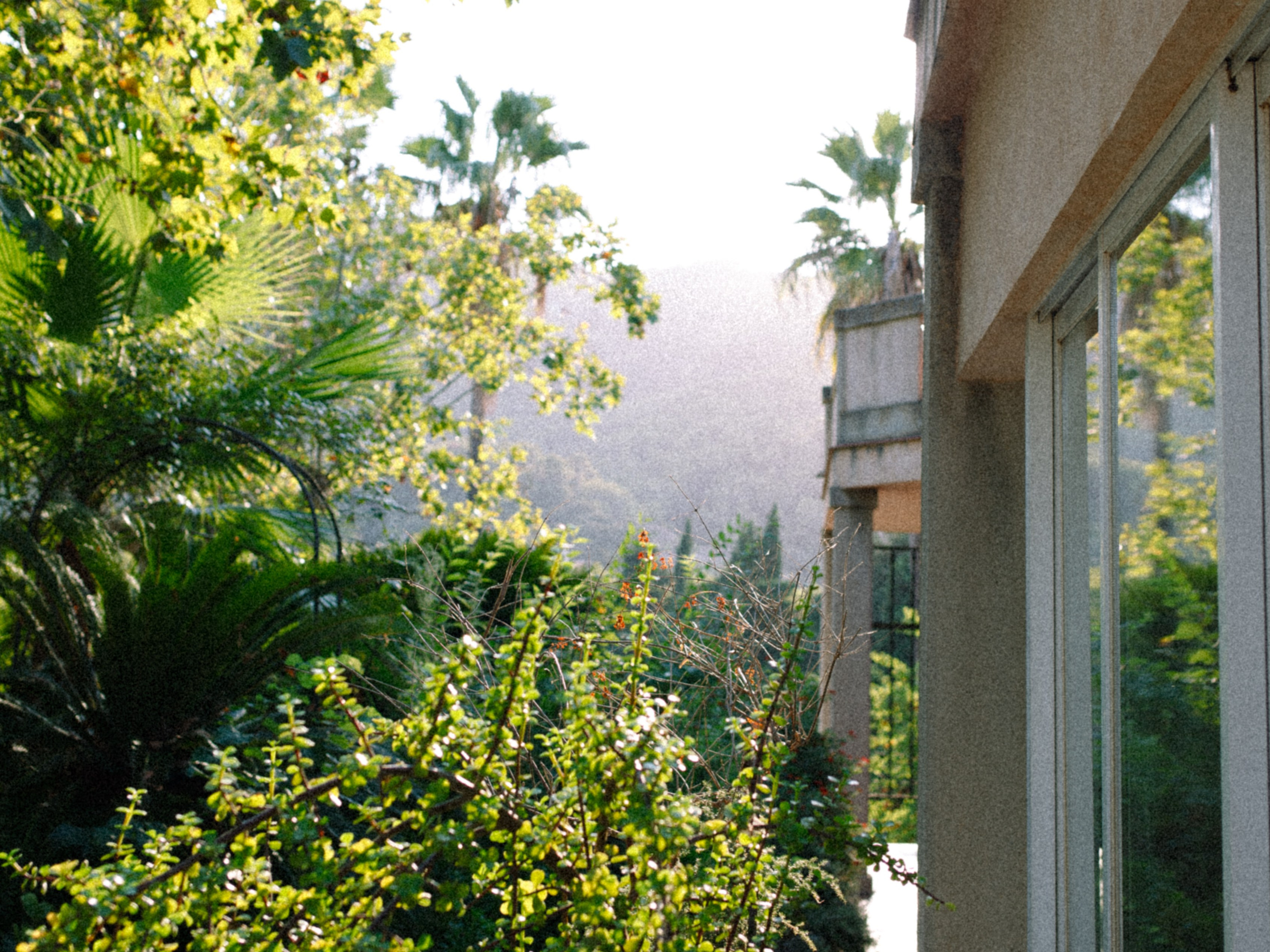 ART RESIDENCY. Marina Kálcheva – Photographer & Visual Artist in Barcelona