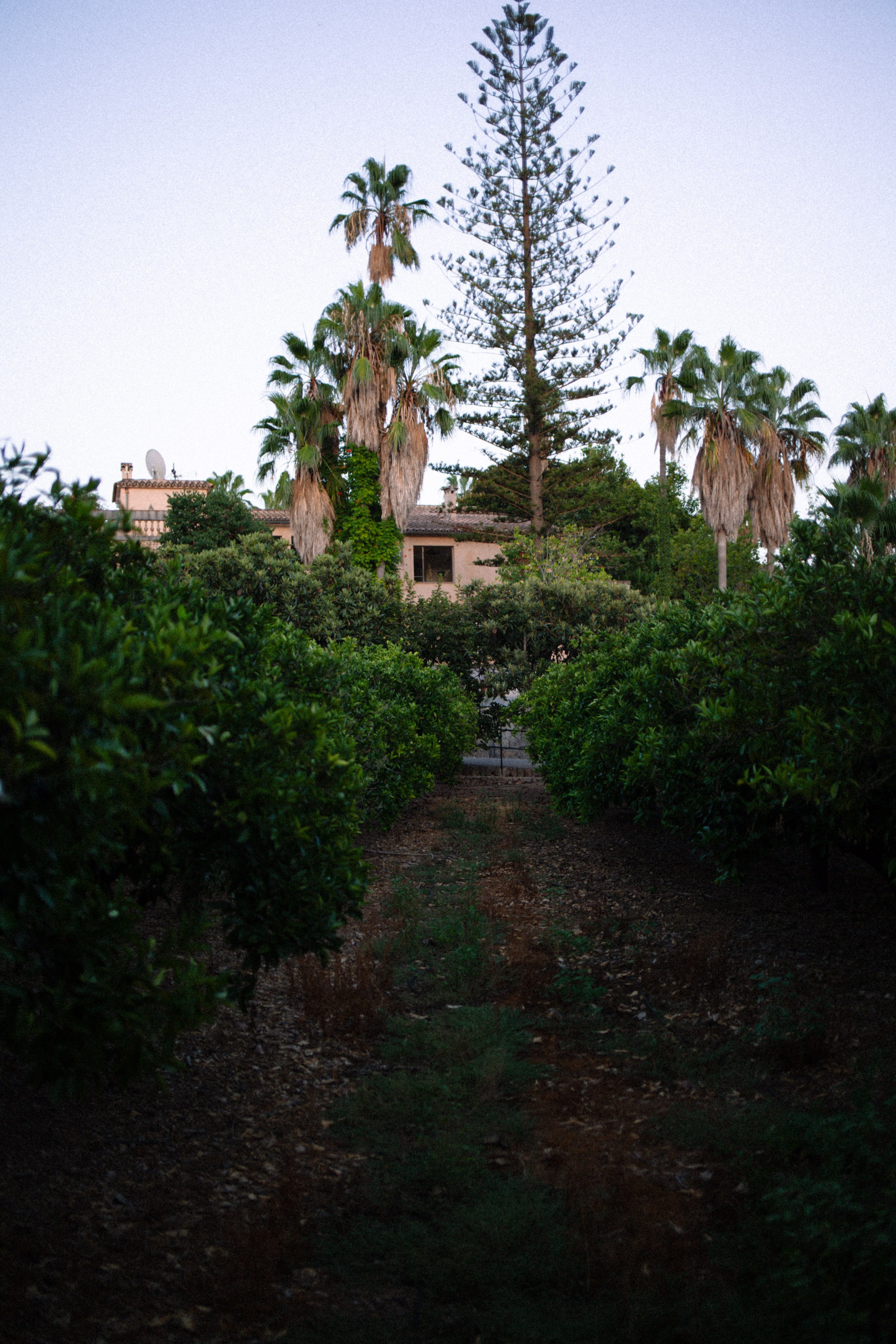 ART RESIDENCY. Marina Kálcheva – Photographer & Visual Artist in Barcelona