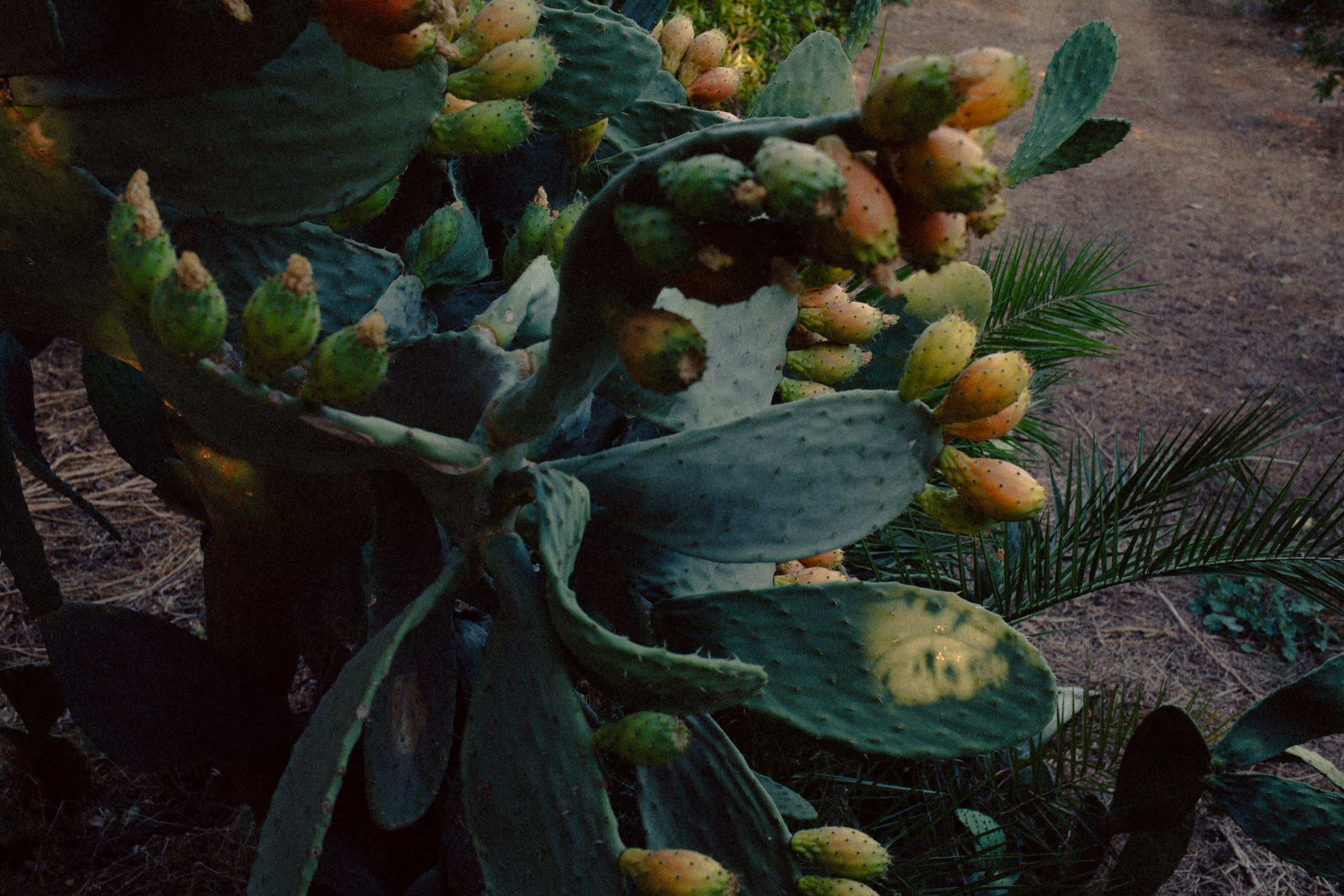 ART RESIDENCY. Marina Kálcheva – Photographer & Visual Artist in Barcelona